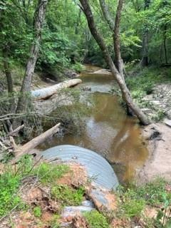 5 Fm 1848 Buffalo, TX 75831 - Photo 8 of 8