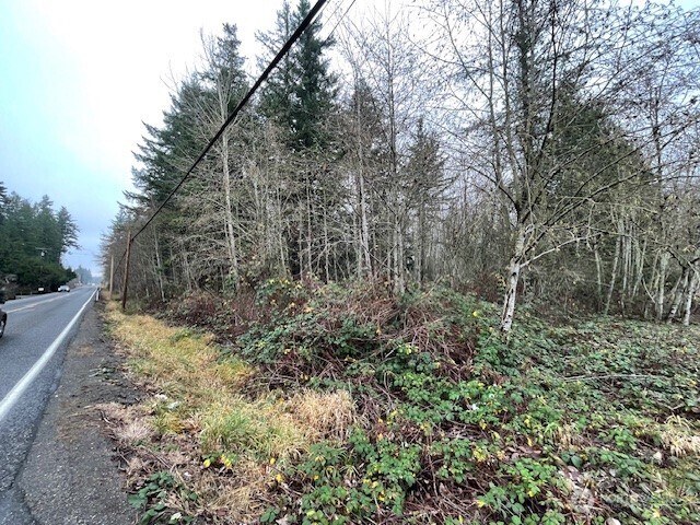 8776 Blaine Road Blaine, WA 98230 - Photo 7 of 10 a view of a yard with trees