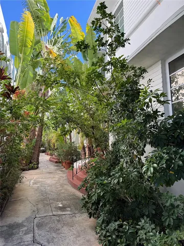 a view of a yard with plants and large trees