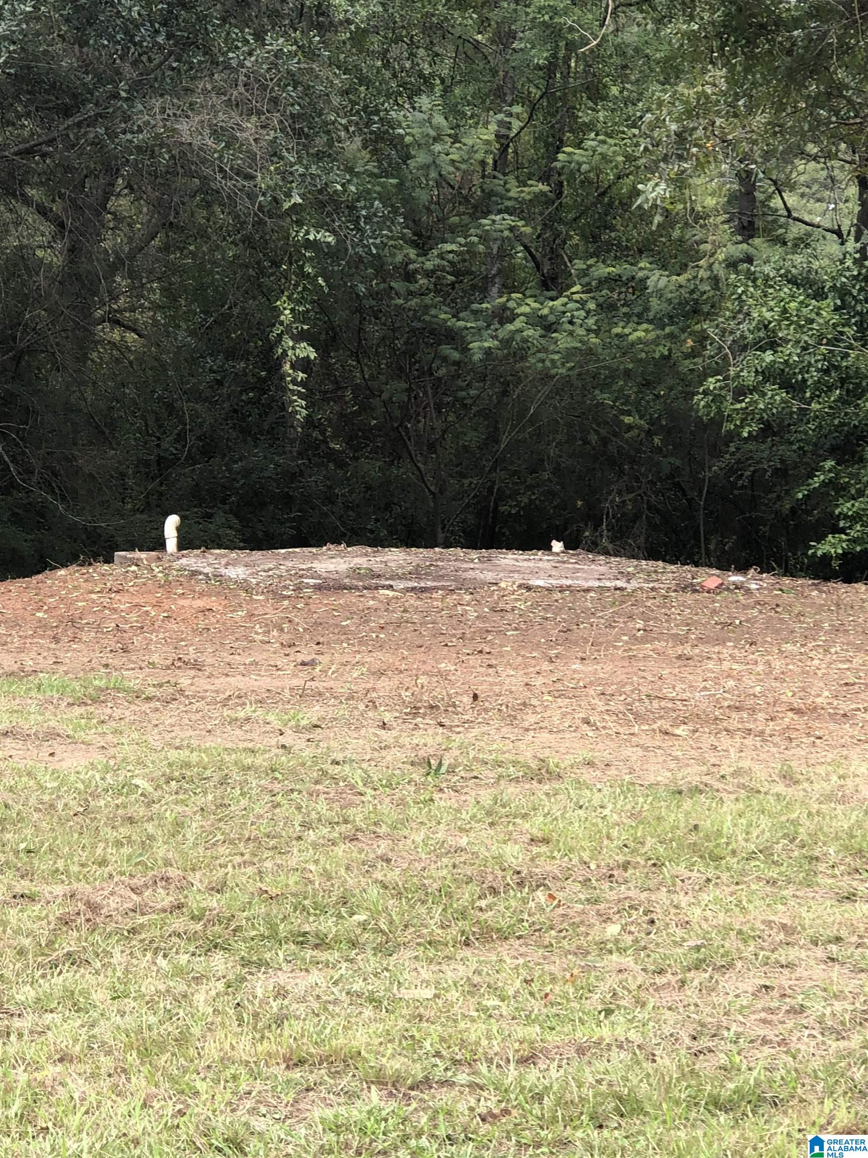 200 Friendship Road Clanton, AL 35045 - Photo 28 of 30