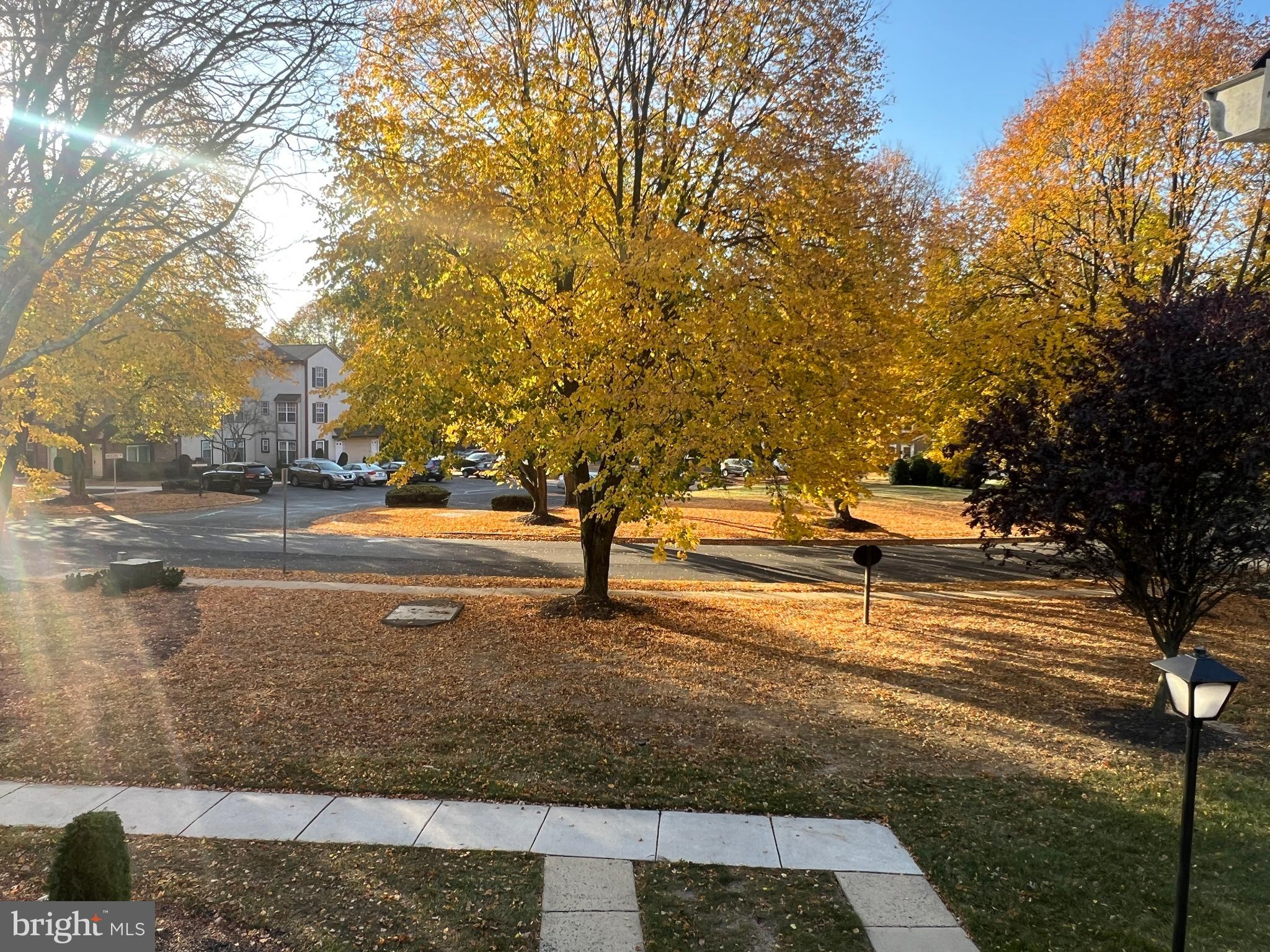 87 Whetstone Road Horsham, PA 19044 - Photo 18 of 20 a view of a yard with an trees