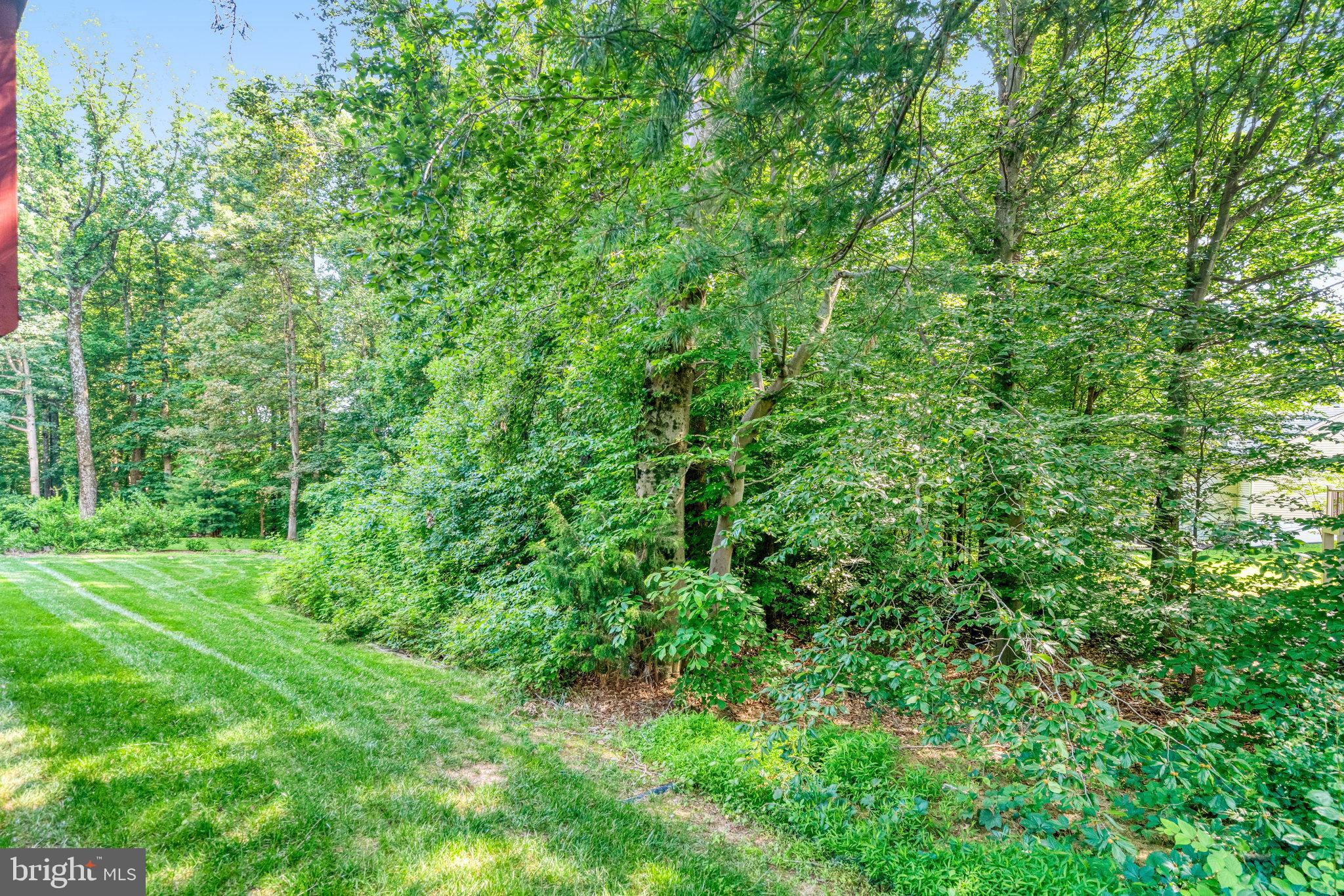 7832 Valleyfield Drive Springfield, VA 22153 - Photo 23 of 24