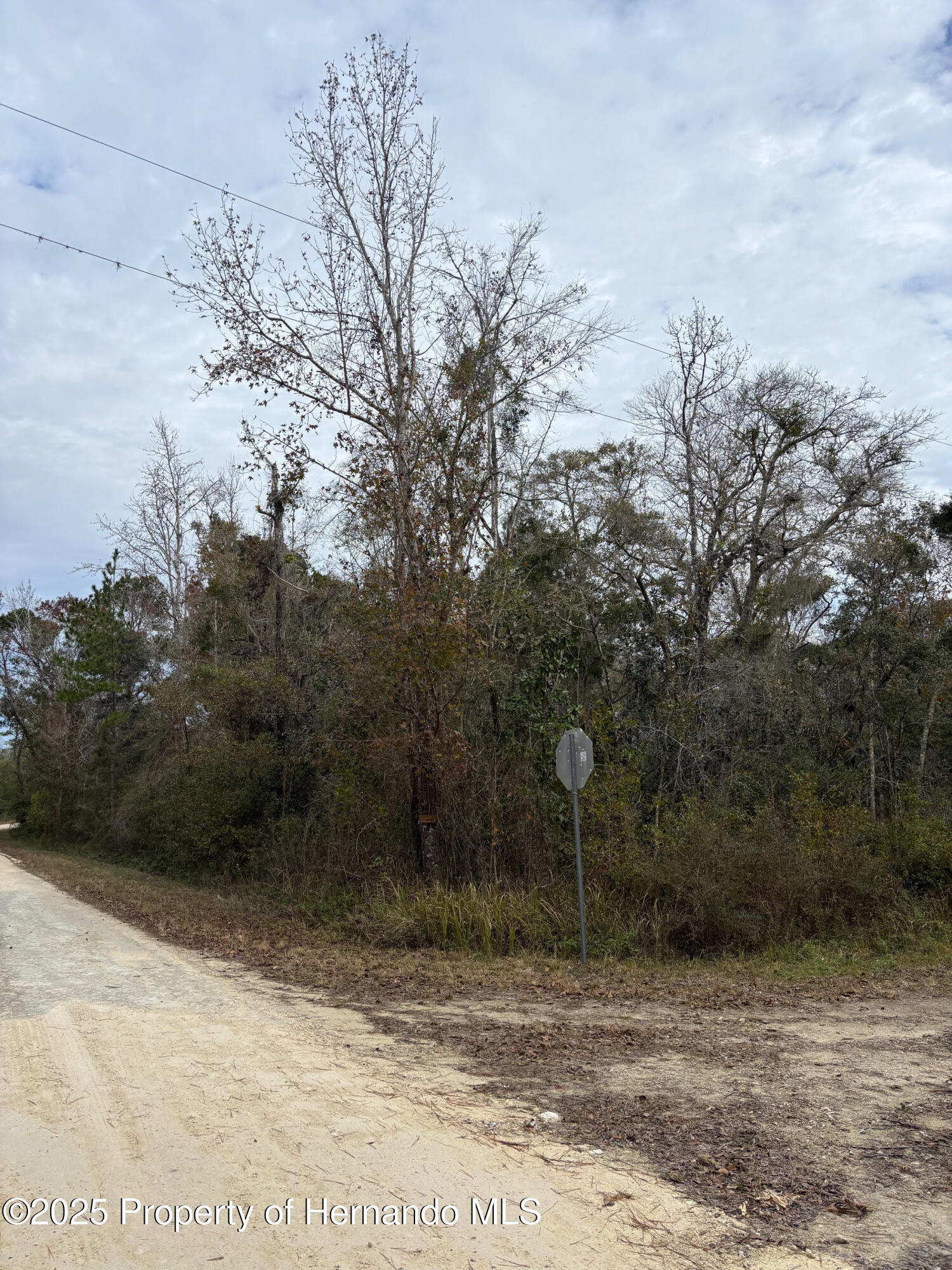 Lot 1 Carolina Dove Road Weeki Wachee, FL 34614 - Photo 2 of 6