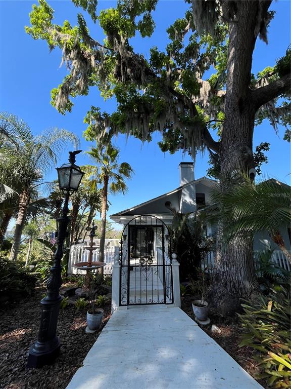 629 Helen Street Mount Dora, FL 32757 - Photo 4 of 9 a front view of a house with a tree