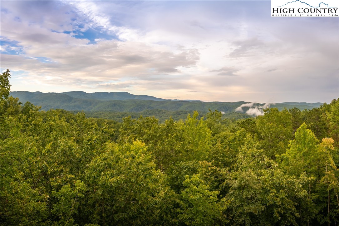 223 Red Cedar Road Boone, NC 28607 - Photo 2 of 50 Gallery Image 2