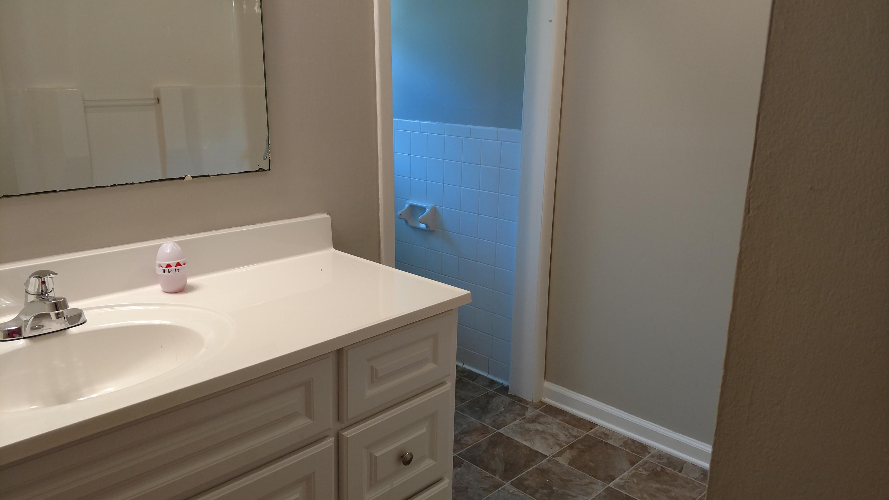 306 Marshall Hall Road Jasper, TN 37347 - Photo 15 of 20 bathroom