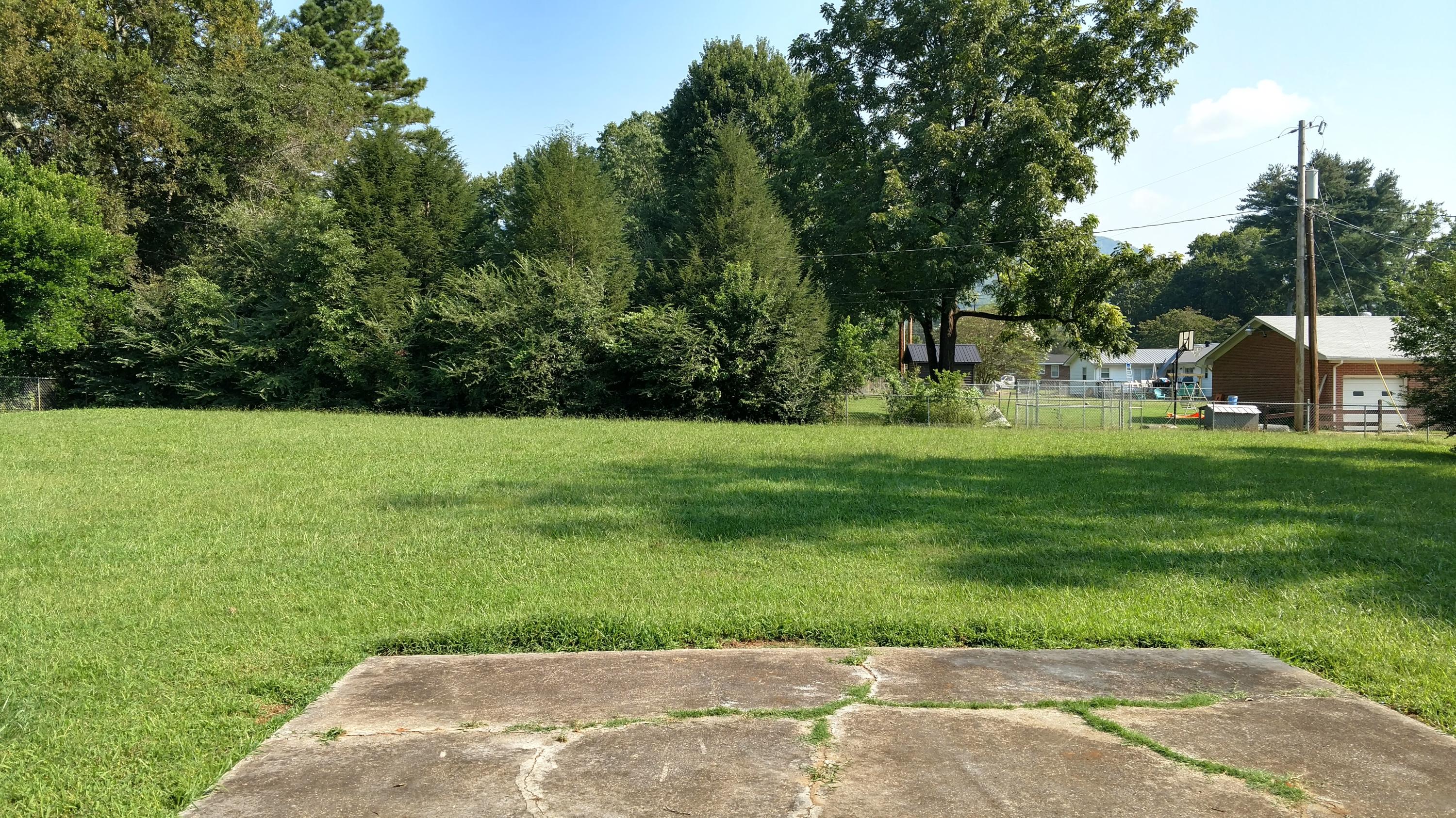 306 Marshall Hall Road Jasper, TN 37347 - Photo 19 of 20 rear yard