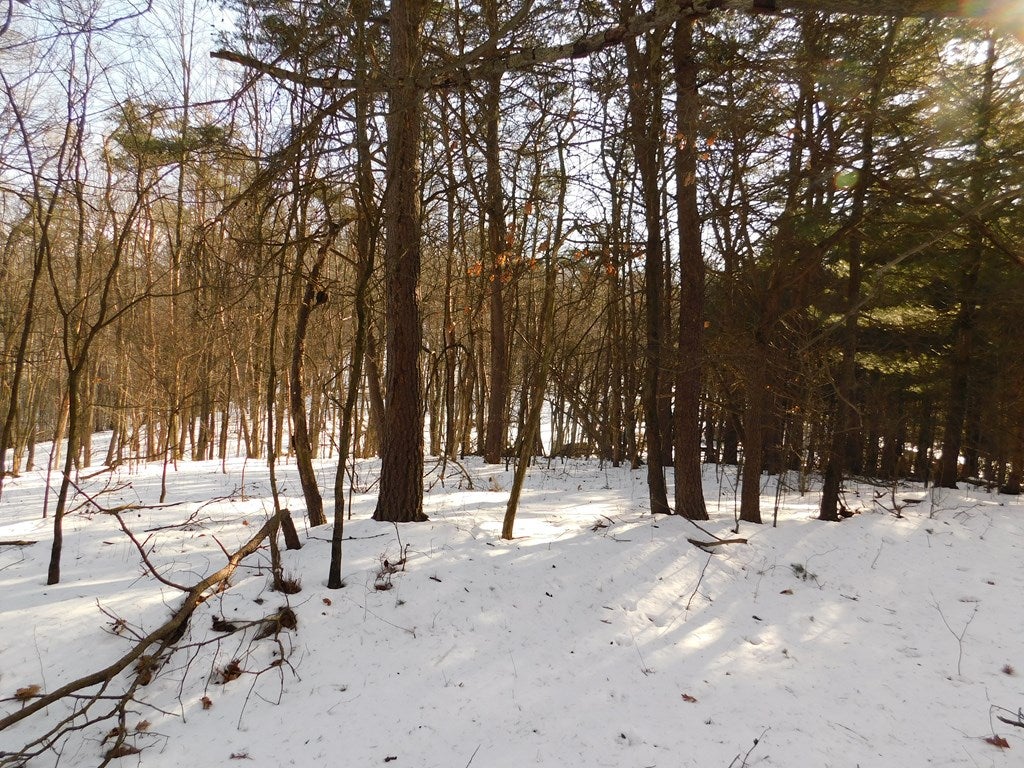 0 Lower Ridge Road James Creek, PA 16657 - Photo 4 of 10 Gallery Image 4