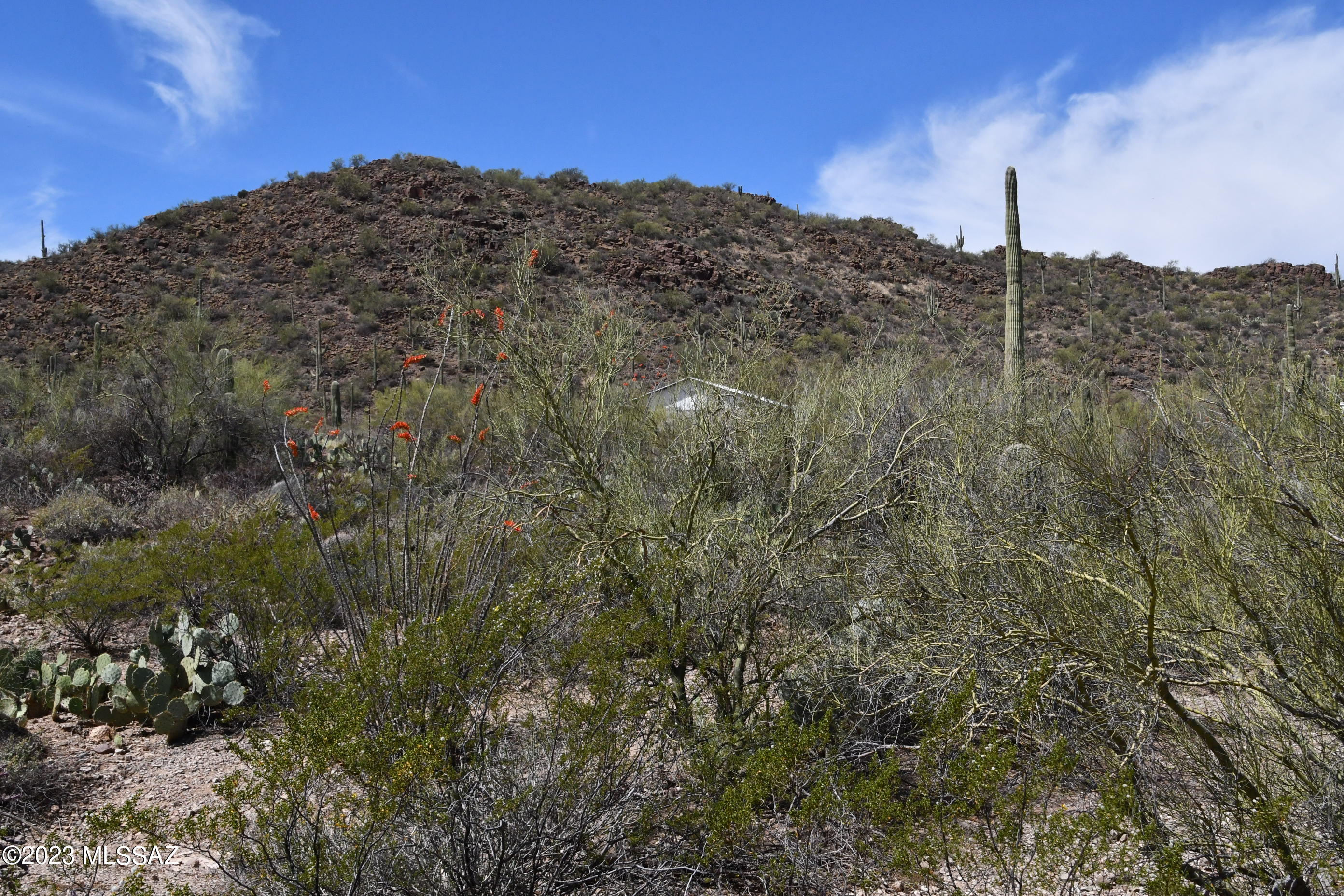 Yuma Mine Road Tucson, AZ 85743 - Photo 41 of 42 Gallery Image 41