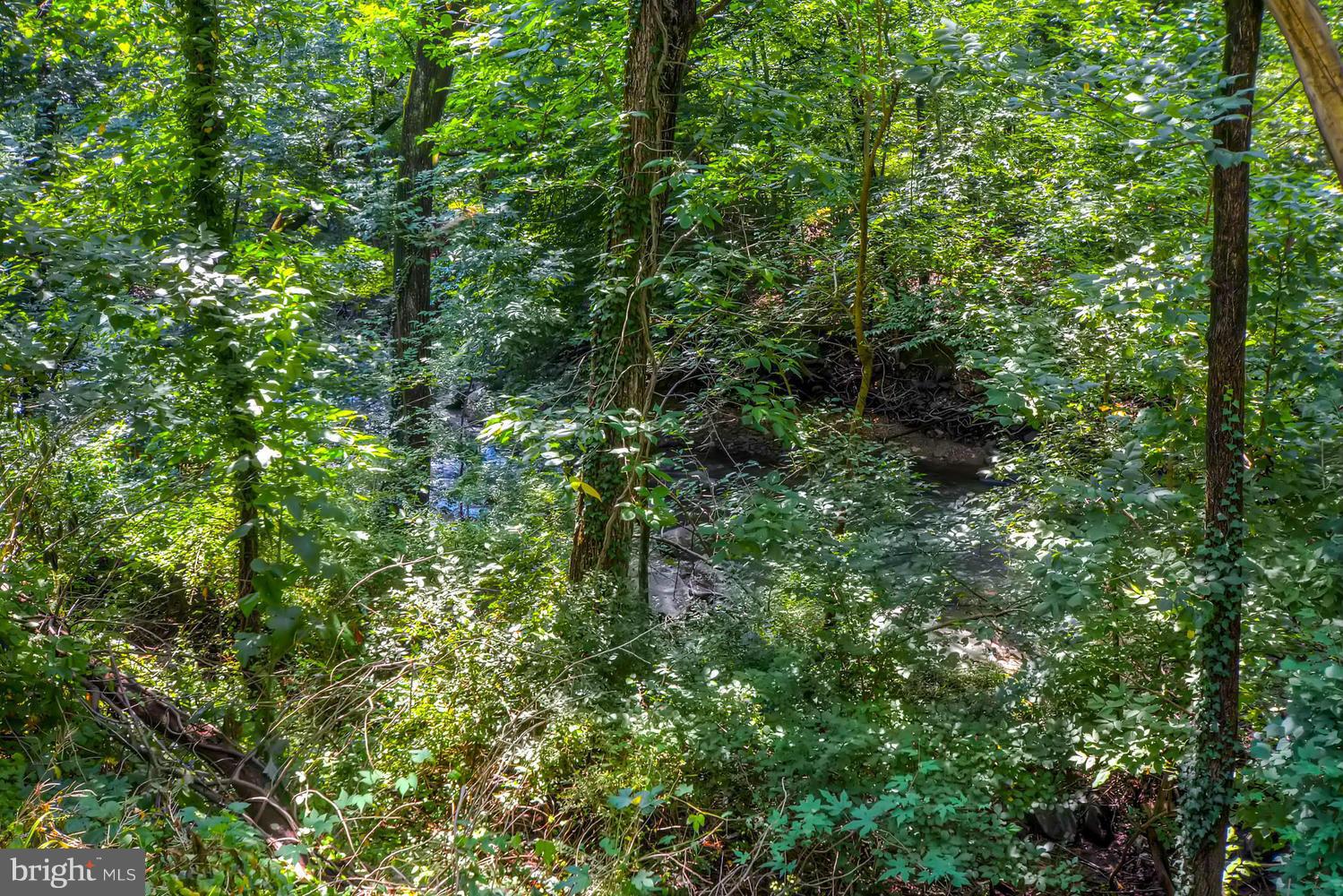 5106 North Franklintown Road Baltimore, MD 21207 - Photo 20 of 22 a backyard of a house with lots of trees