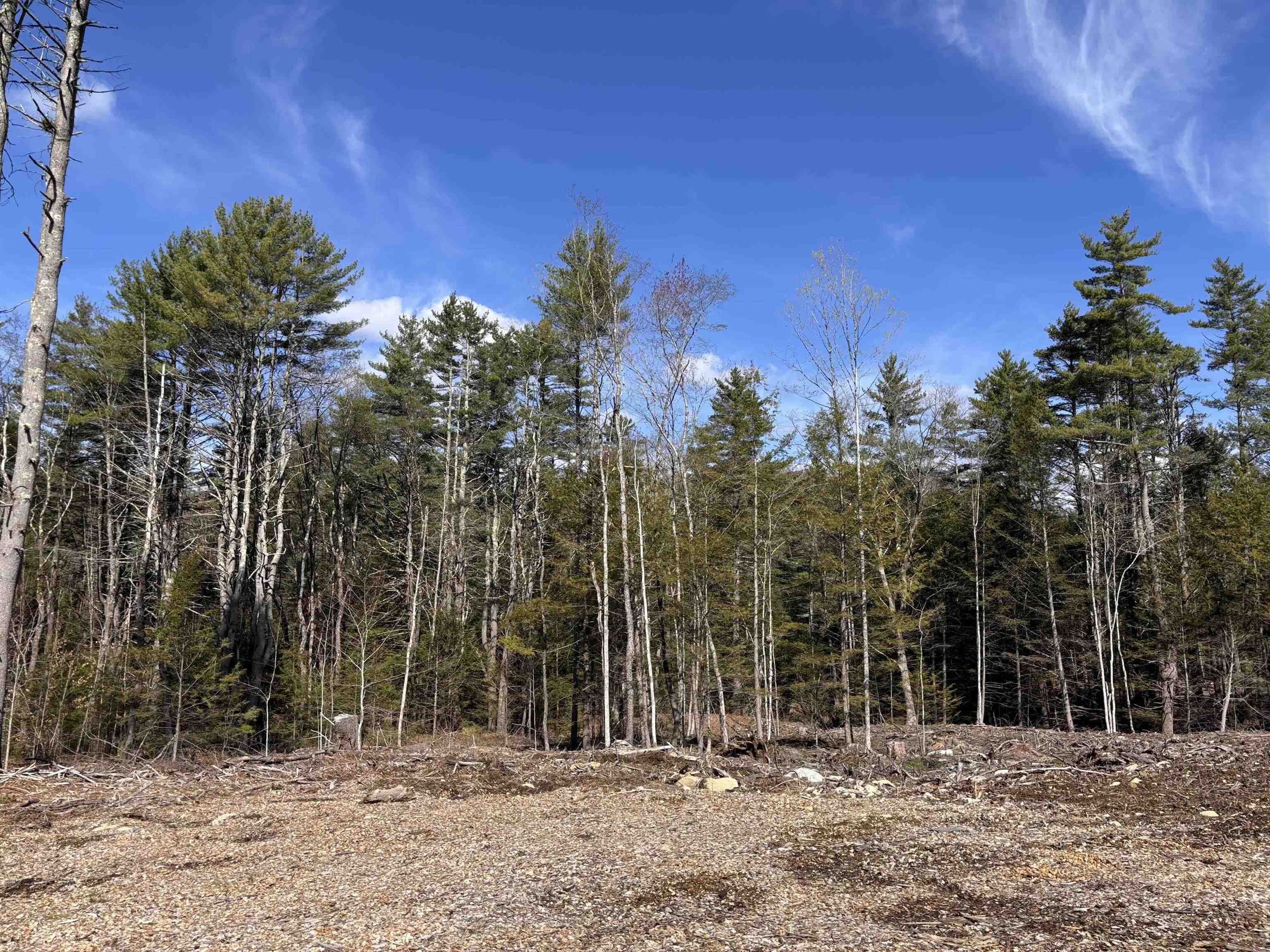 L:64-65 Old Turnpike Road Richmond, NH 03470 - Photo 3 of 6