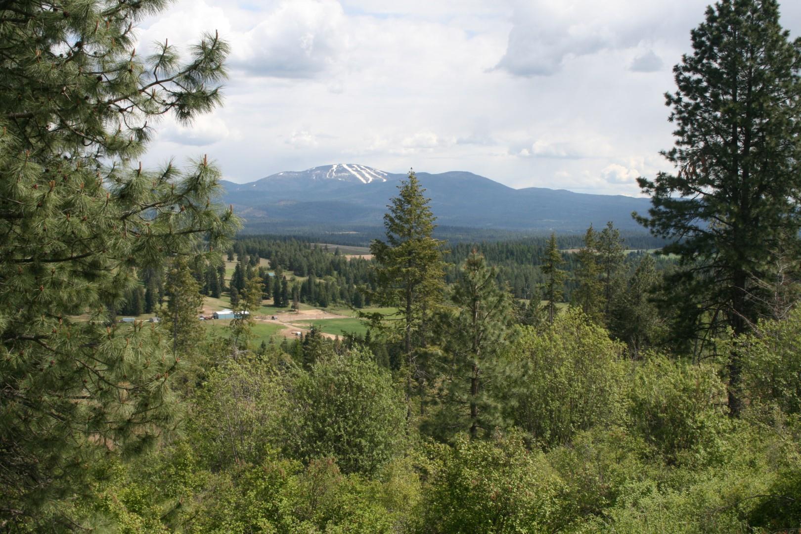 Xx Kirkpatrick Road Elk, WA 99009 - Photo 1 of 29