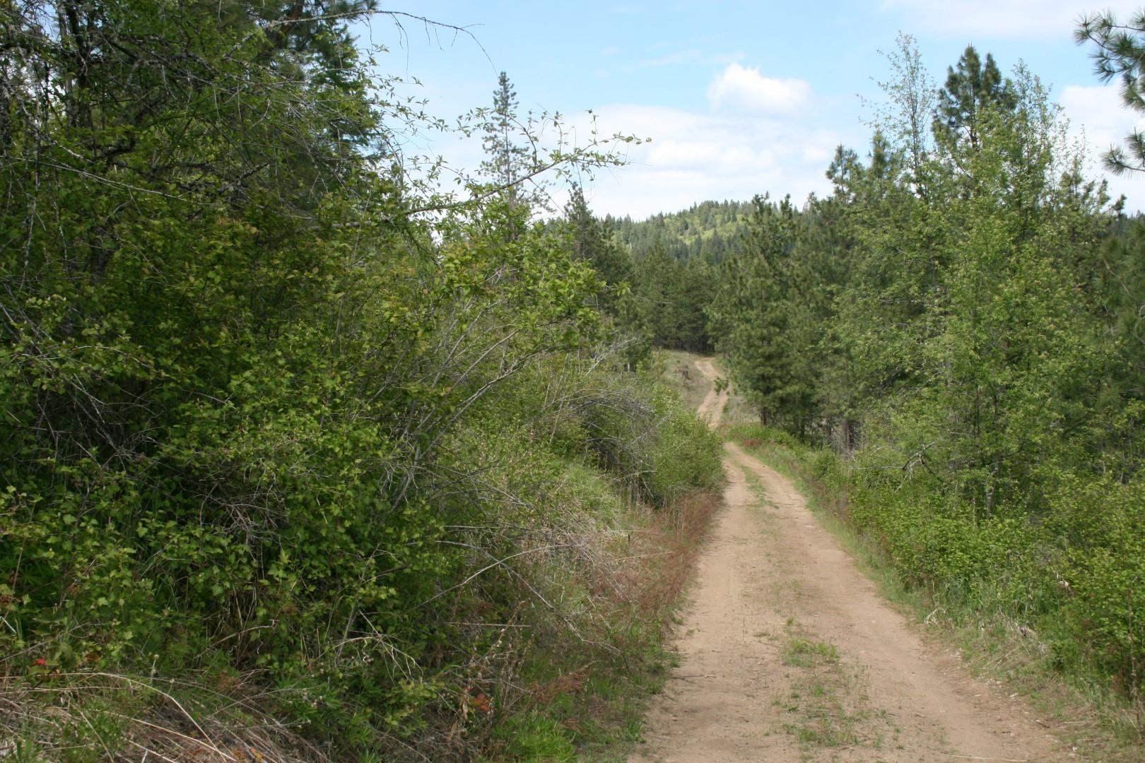 Xx Kirkpatrick Road Elk, WA 99009 - Photo 2 of 29