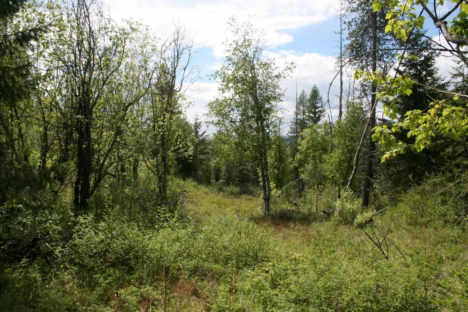 Xx Kirkpatrick Road Elk, WA 99009 - Photo 11 of 29