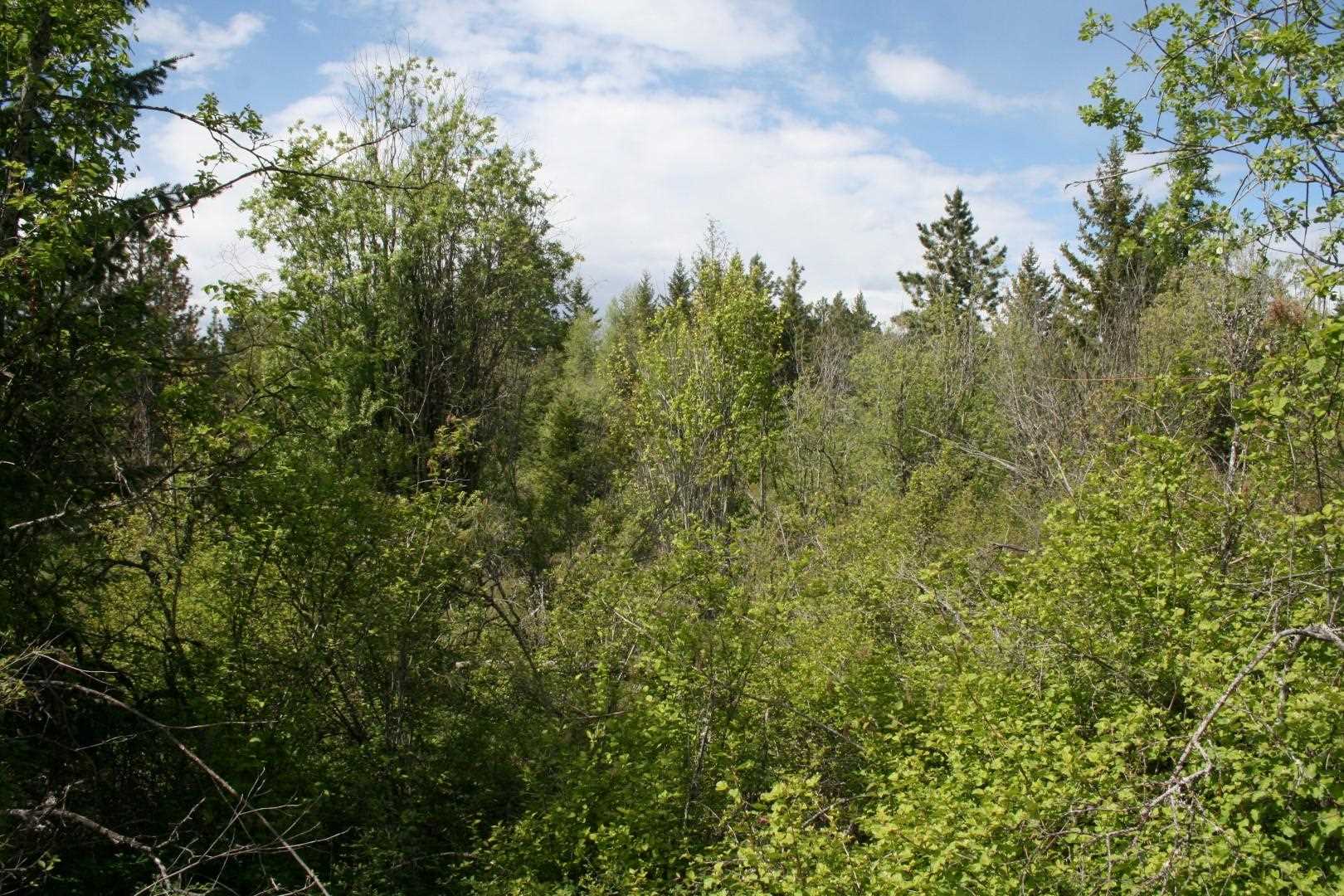 Xx Kirkpatrick Road Elk, WA 99009 - Photo 12 of 29