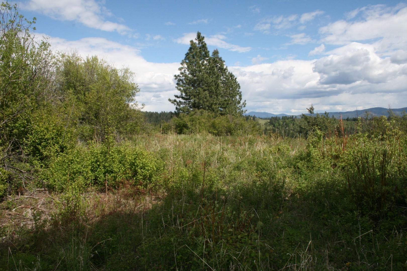 Xx Kirkpatrick Road Elk, WA 99009 - Photo 13 of 29