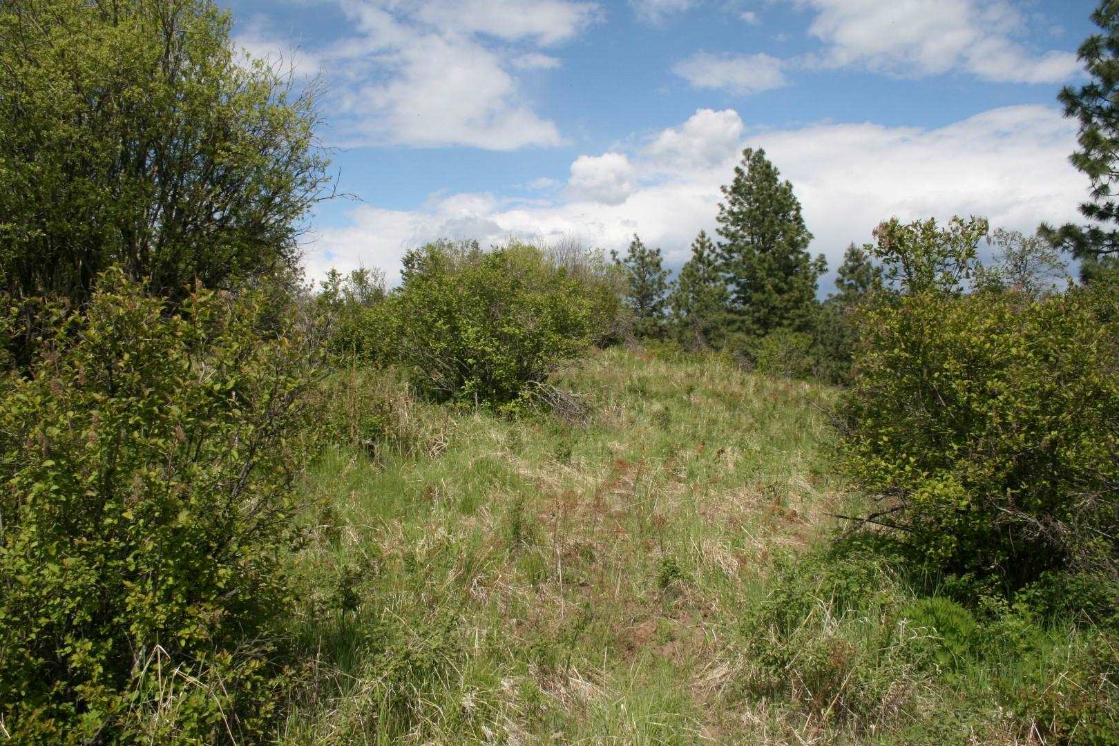 Xx Kirkpatrick Road Elk, WA 99009 - Photo 14 of 29