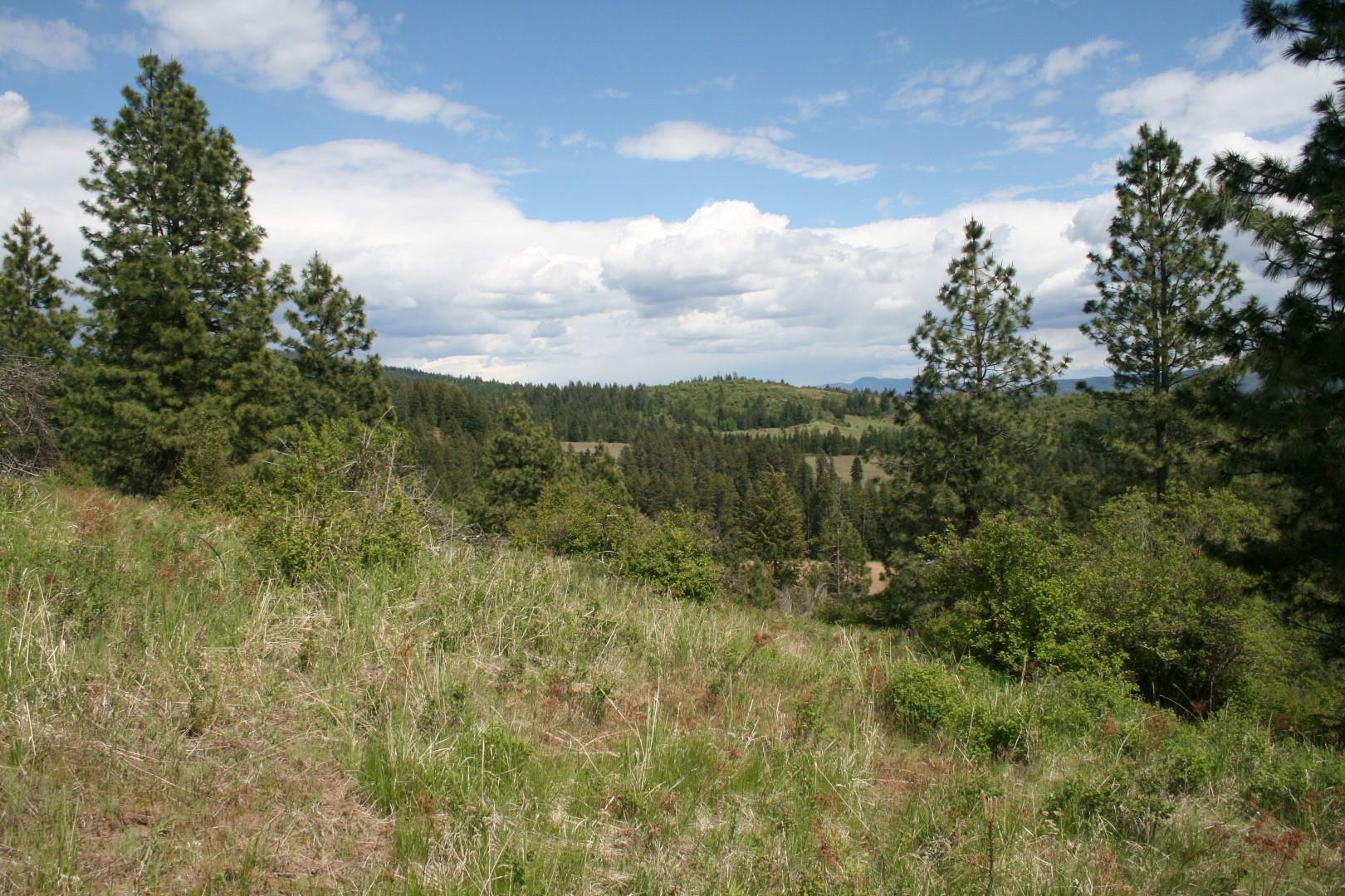 Xx Kirkpatrick Road Elk, WA 99009 - Photo 15 of 29