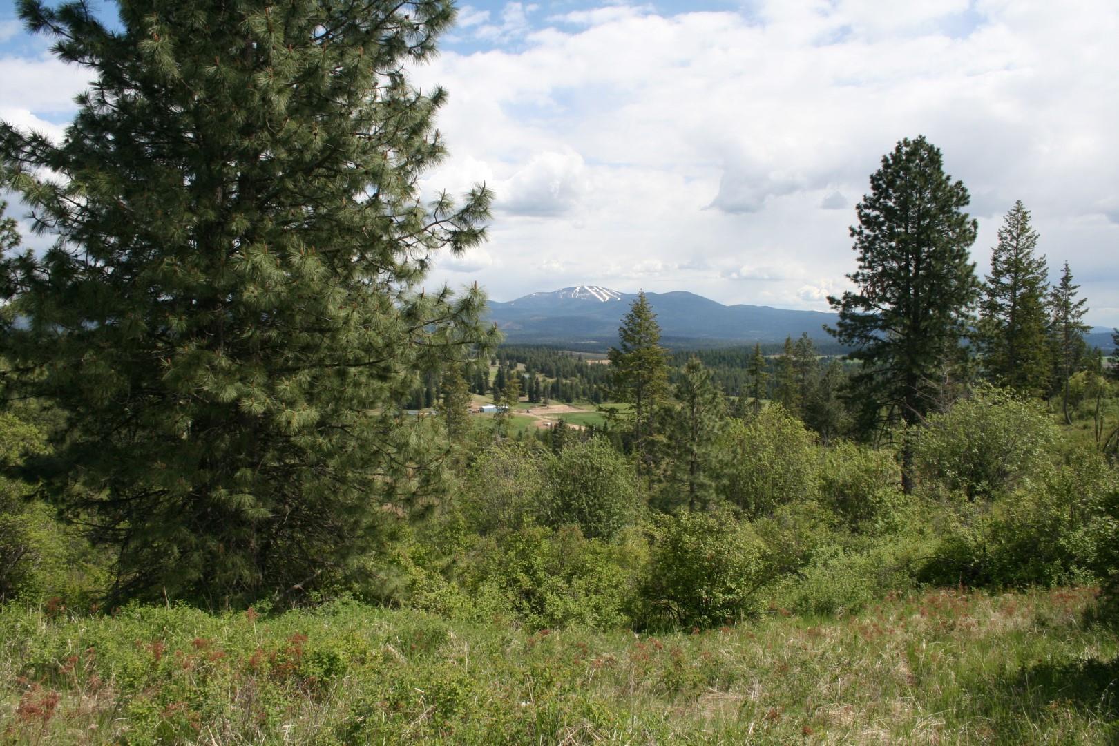 Xx Kirkpatrick Road Elk, WA 99009 - Photo 17 of 29