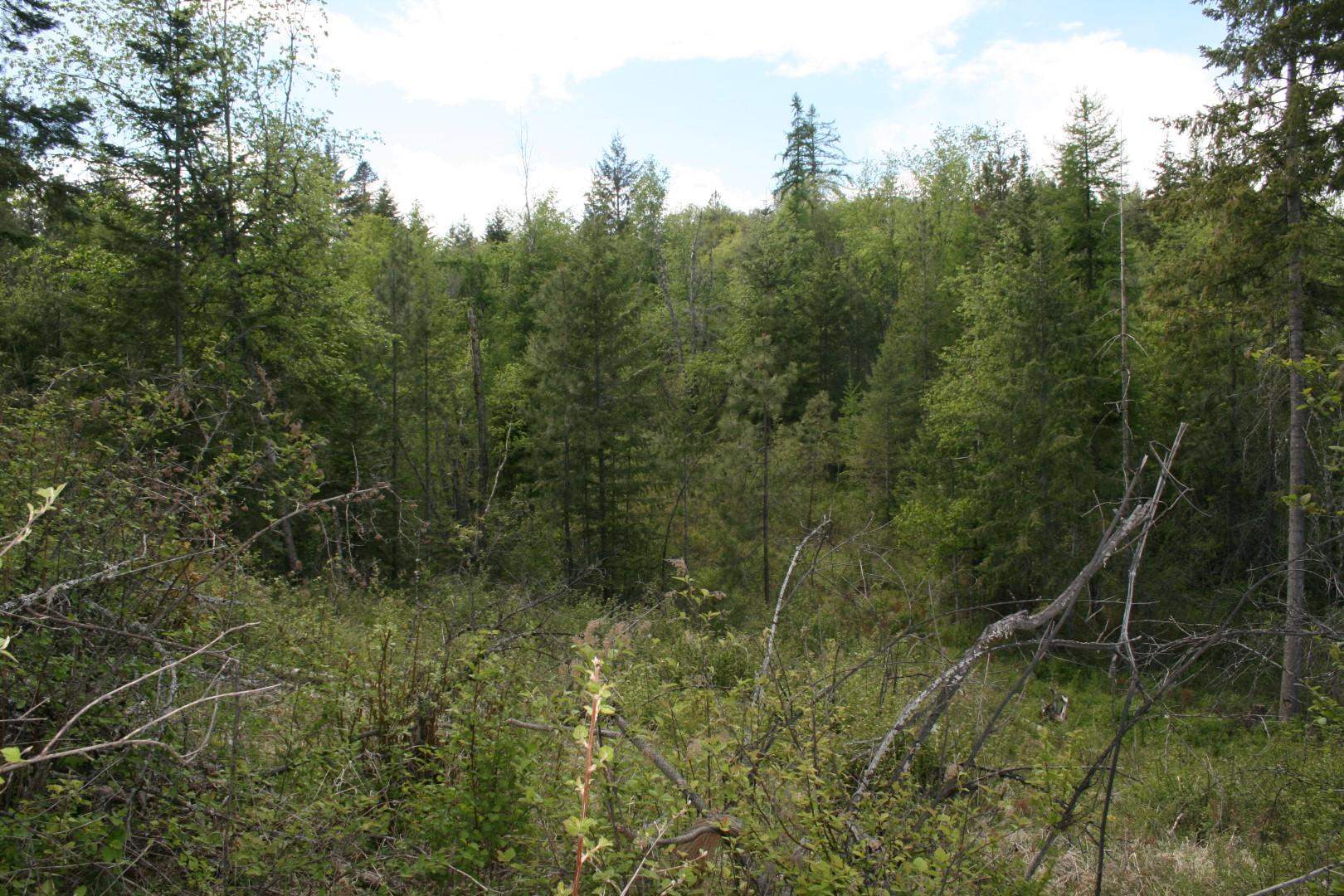 Xx Kirkpatrick Road Elk, WA 99009 - Photo 20 of 29