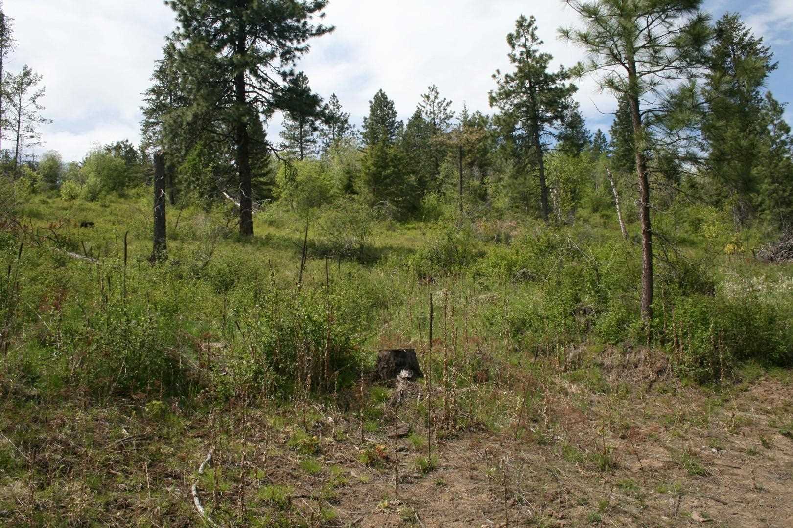 Xx Kirkpatrick Road Elk, WA 99009 - Photo 3 of 29