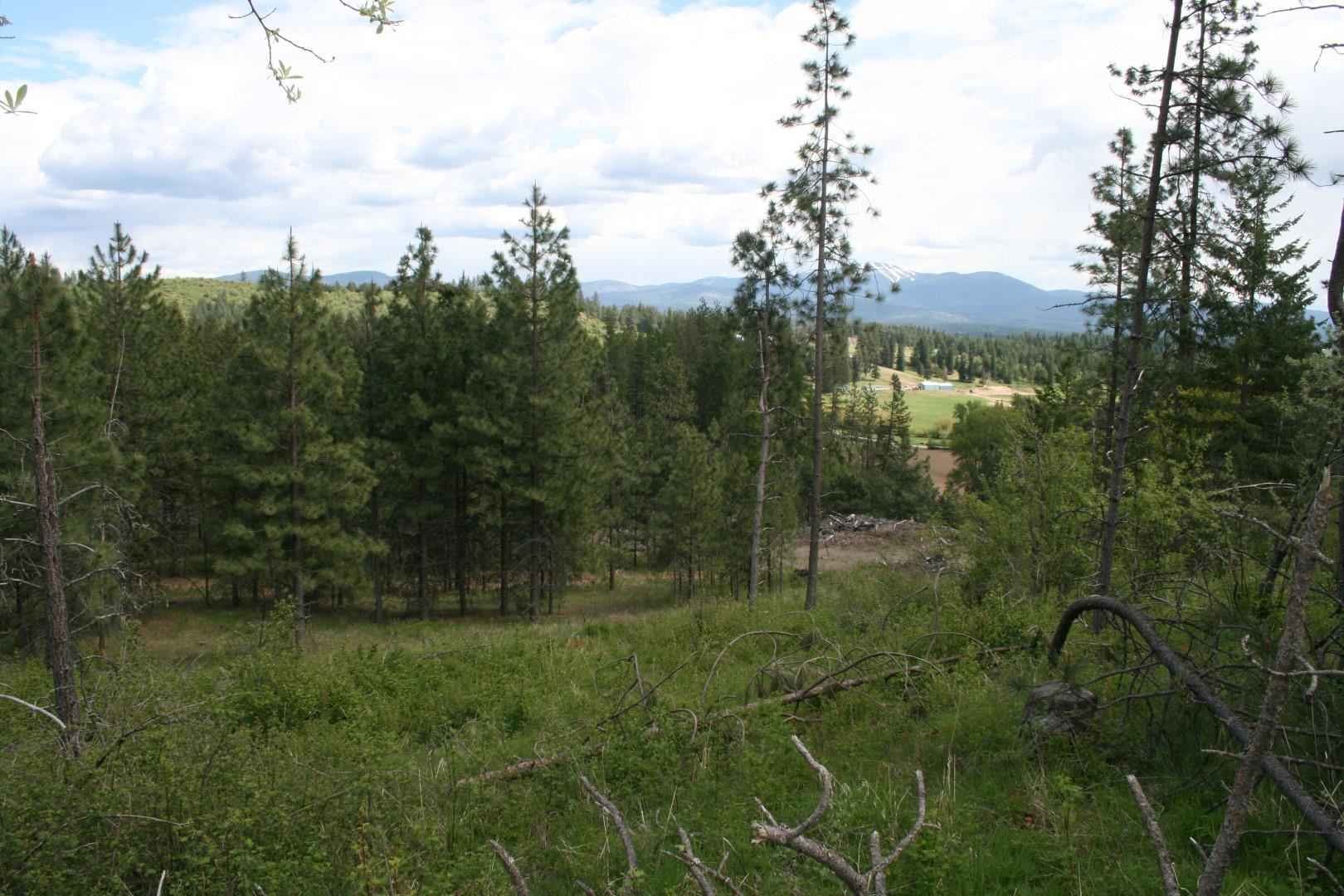 Xx Kirkpatrick Road Elk, WA 99009 - Photo 21 of 29
