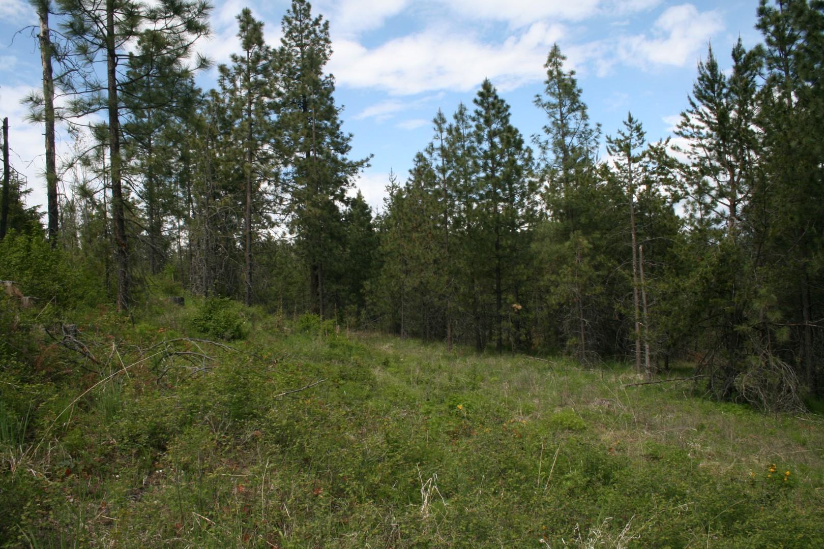 Xx Kirkpatrick Road Elk, WA 99009 - Photo 22 of 29