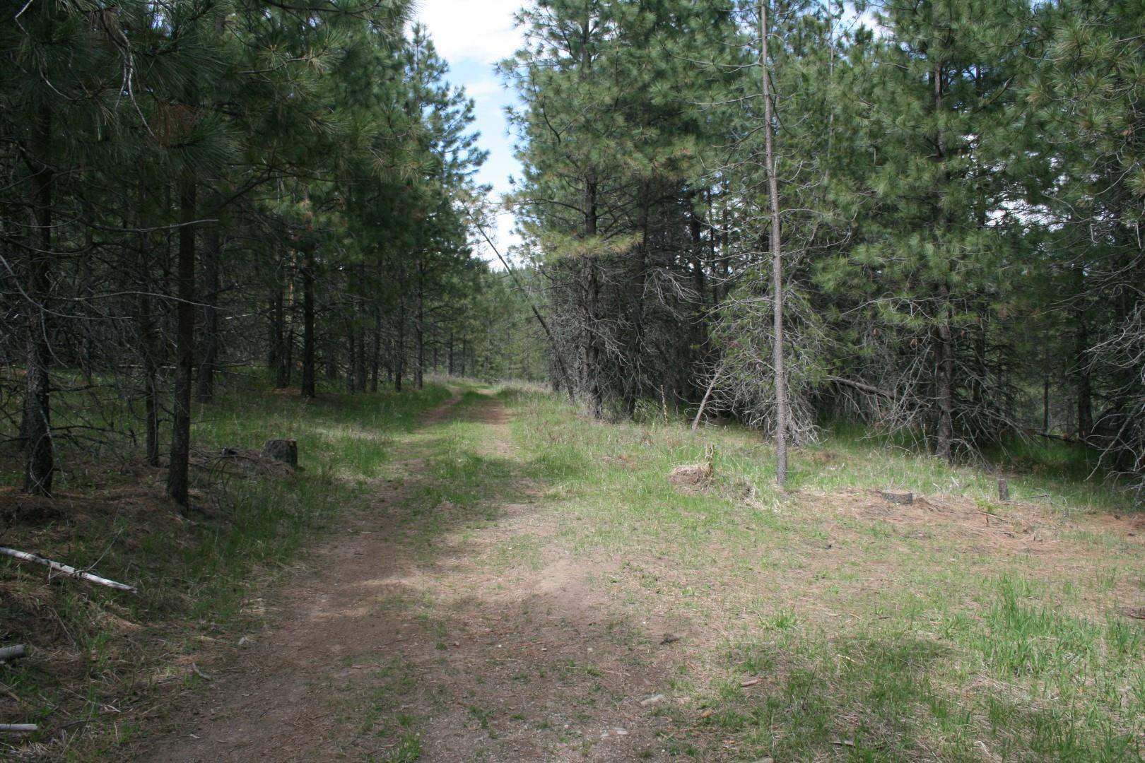 Xx Kirkpatrick Road Elk, WA 99009 - Photo 23 of 29