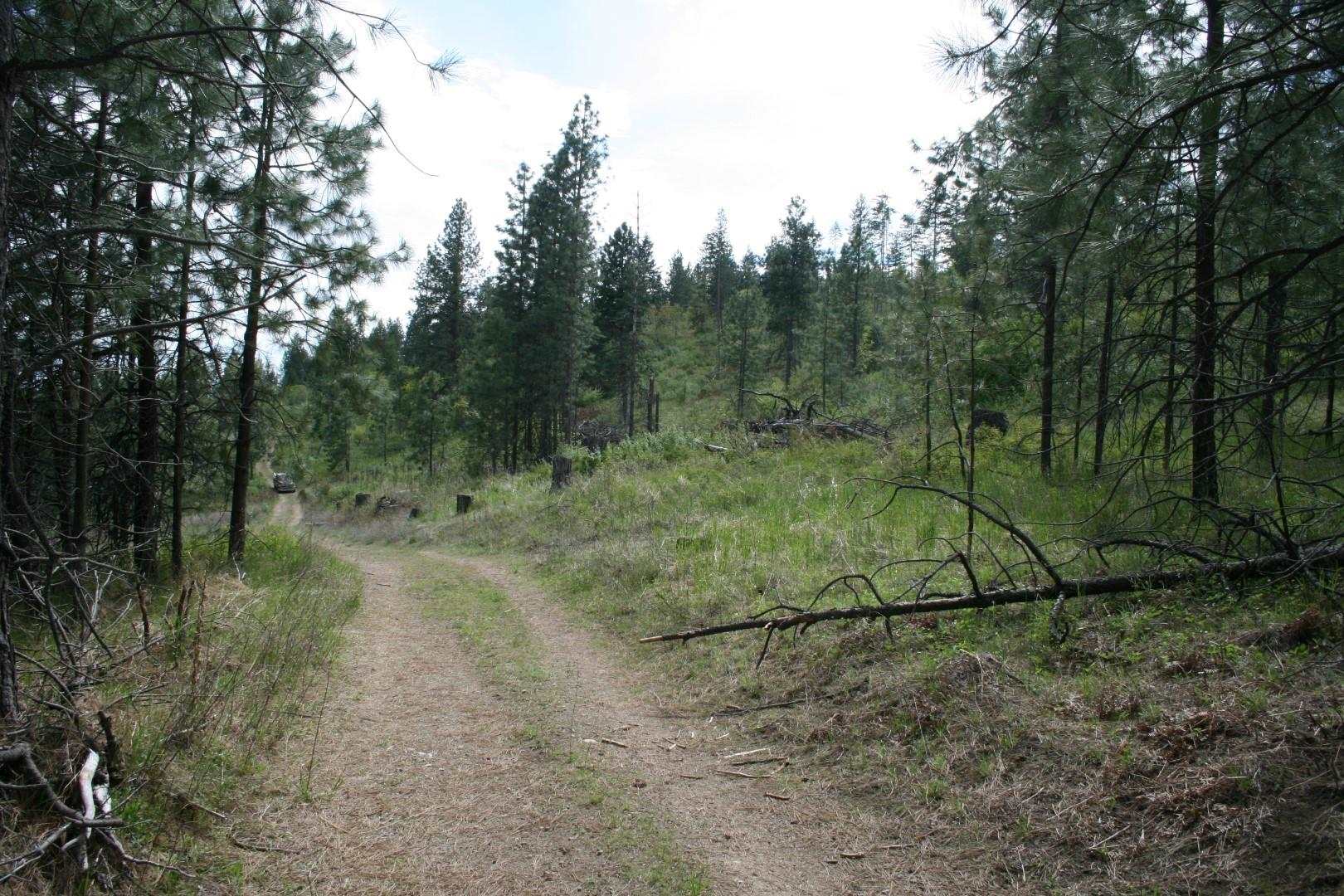 Xx Kirkpatrick Road Elk, WA 99009 - Photo 24 of 29