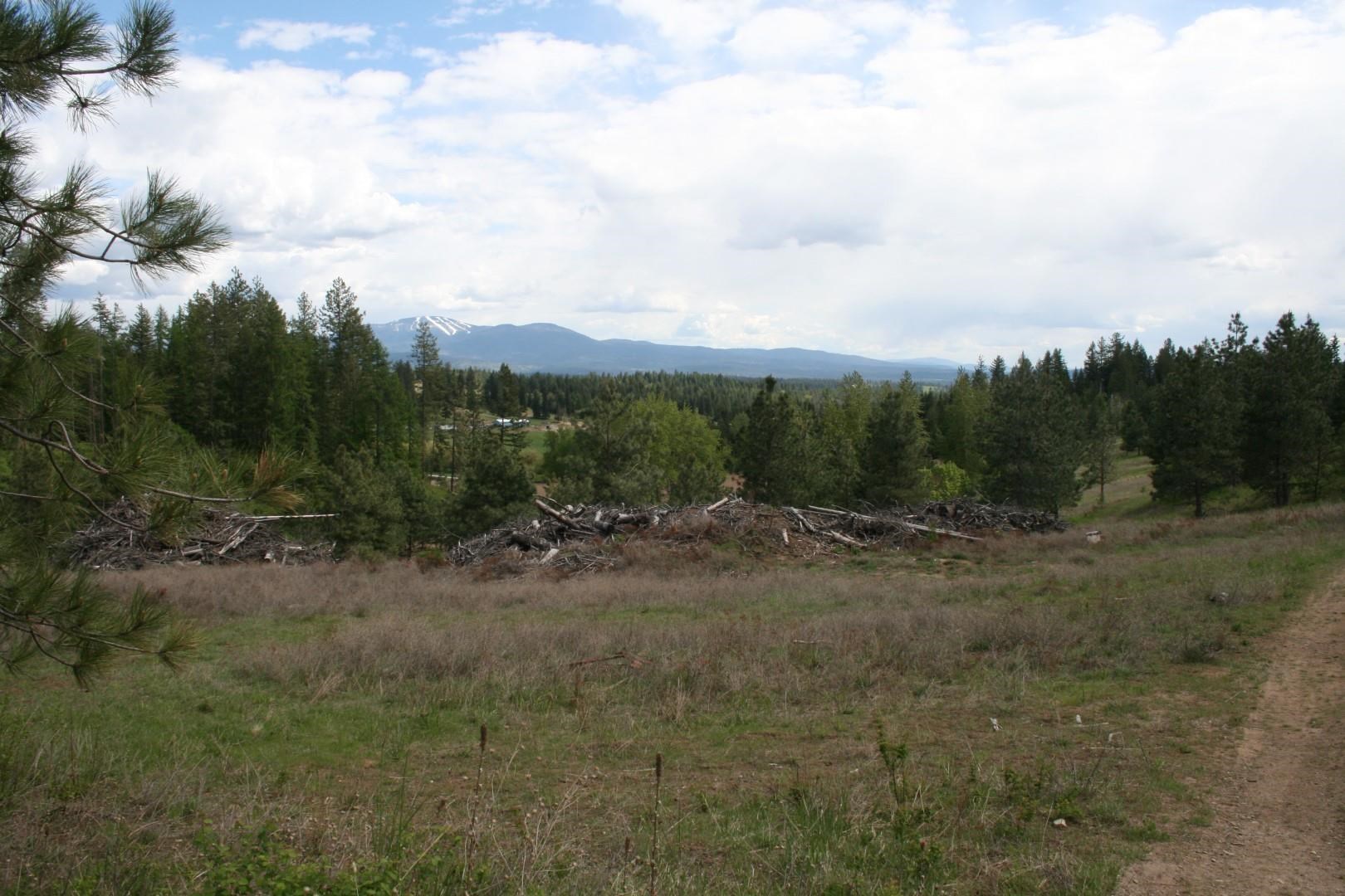 Xx Kirkpatrick Road Elk, WA 99009 - Photo 25 of 29