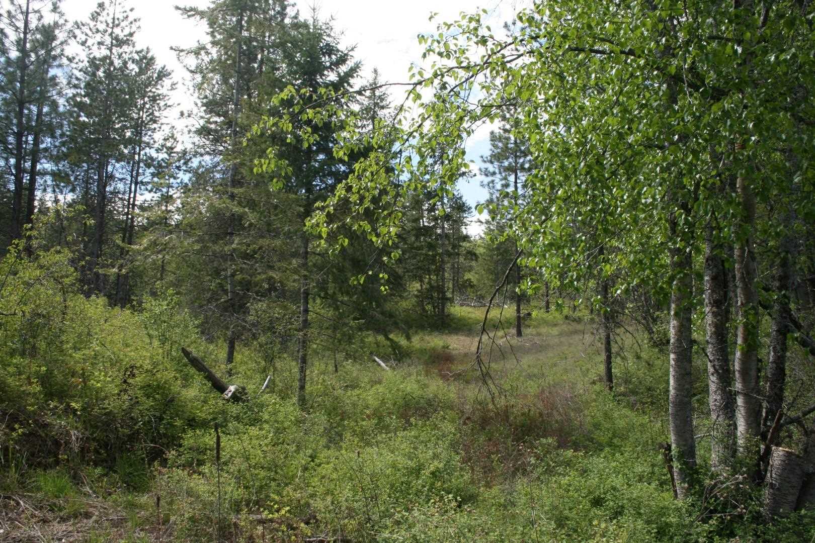 Xx Kirkpatrick Road Elk, WA 99009 - Photo 26 of 29