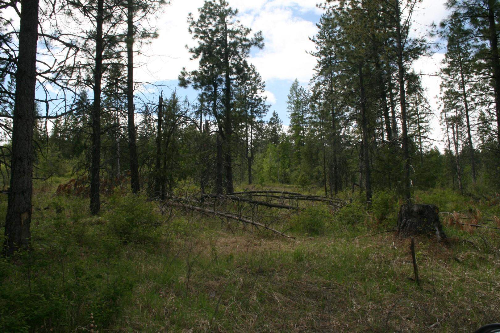 Xx Kirkpatrick Road Elk, WA 99009 - Photo 27 of 29