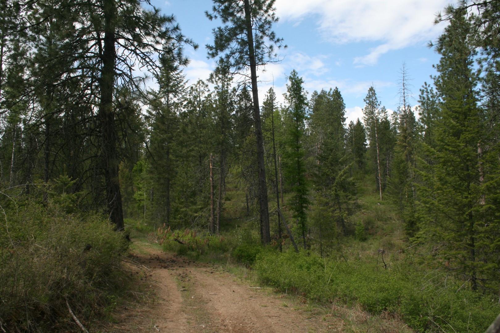 Xx Kirkpatrick Road Elk, WA 99009 - Photo 28 of 29