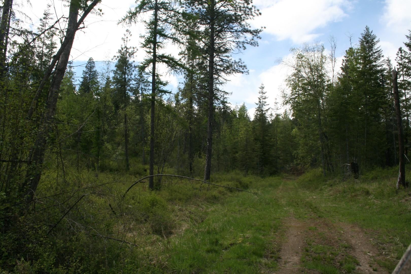 Xx Kirkpatrick Road Elk, WA 99009 - Photo 29 of 29