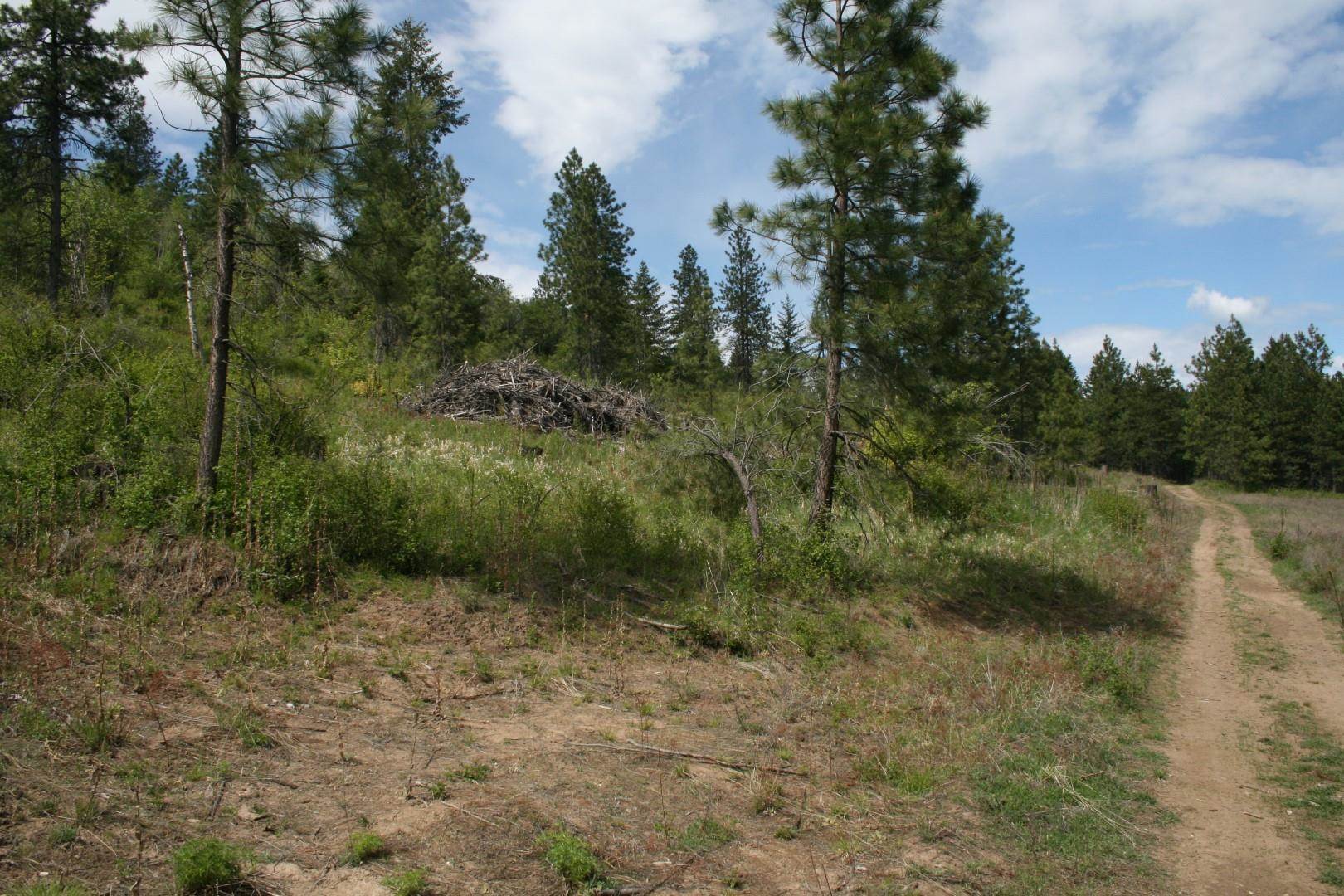 Xx Kirkpatrick Road Elk, WA 99009 - Photo 4 of 29