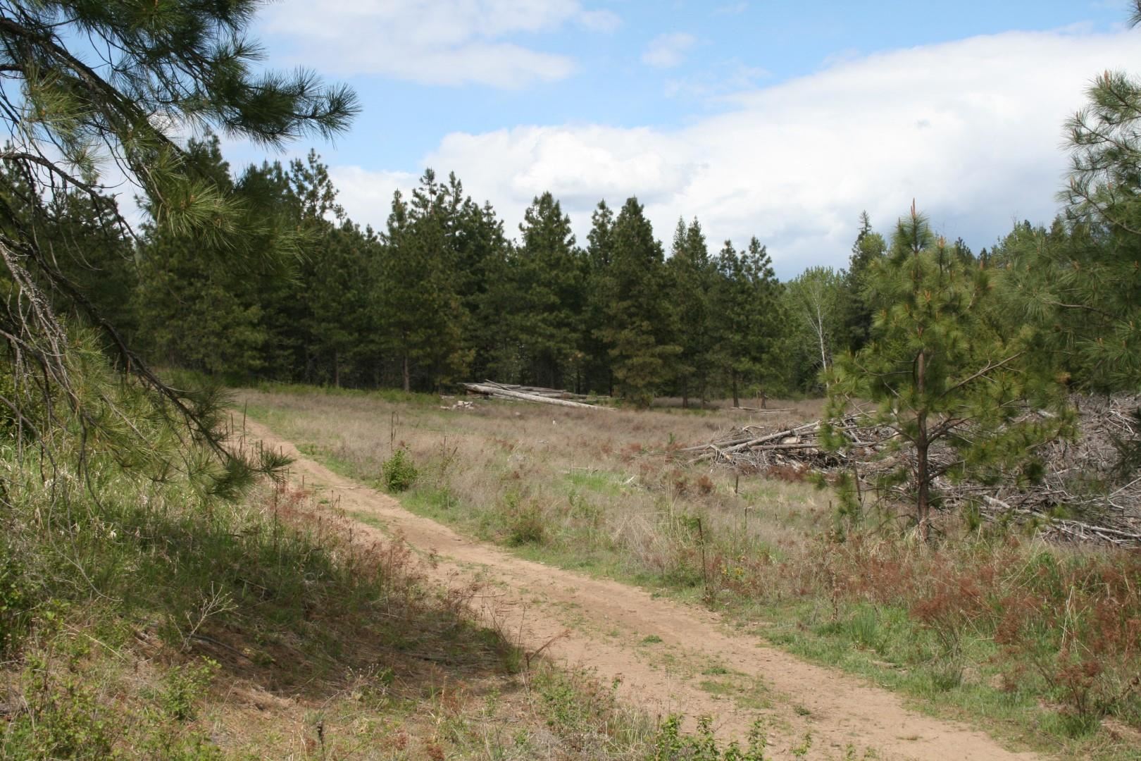 Xx Kirkpatrick Road Elk, WA 99009 - Photo 5 of 29