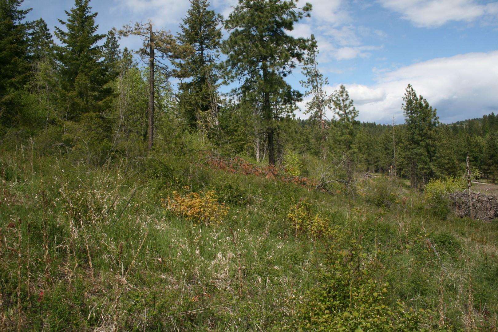 Xx Kirkpatrick Road Elk, WA 99009 - Photo 7 of 29