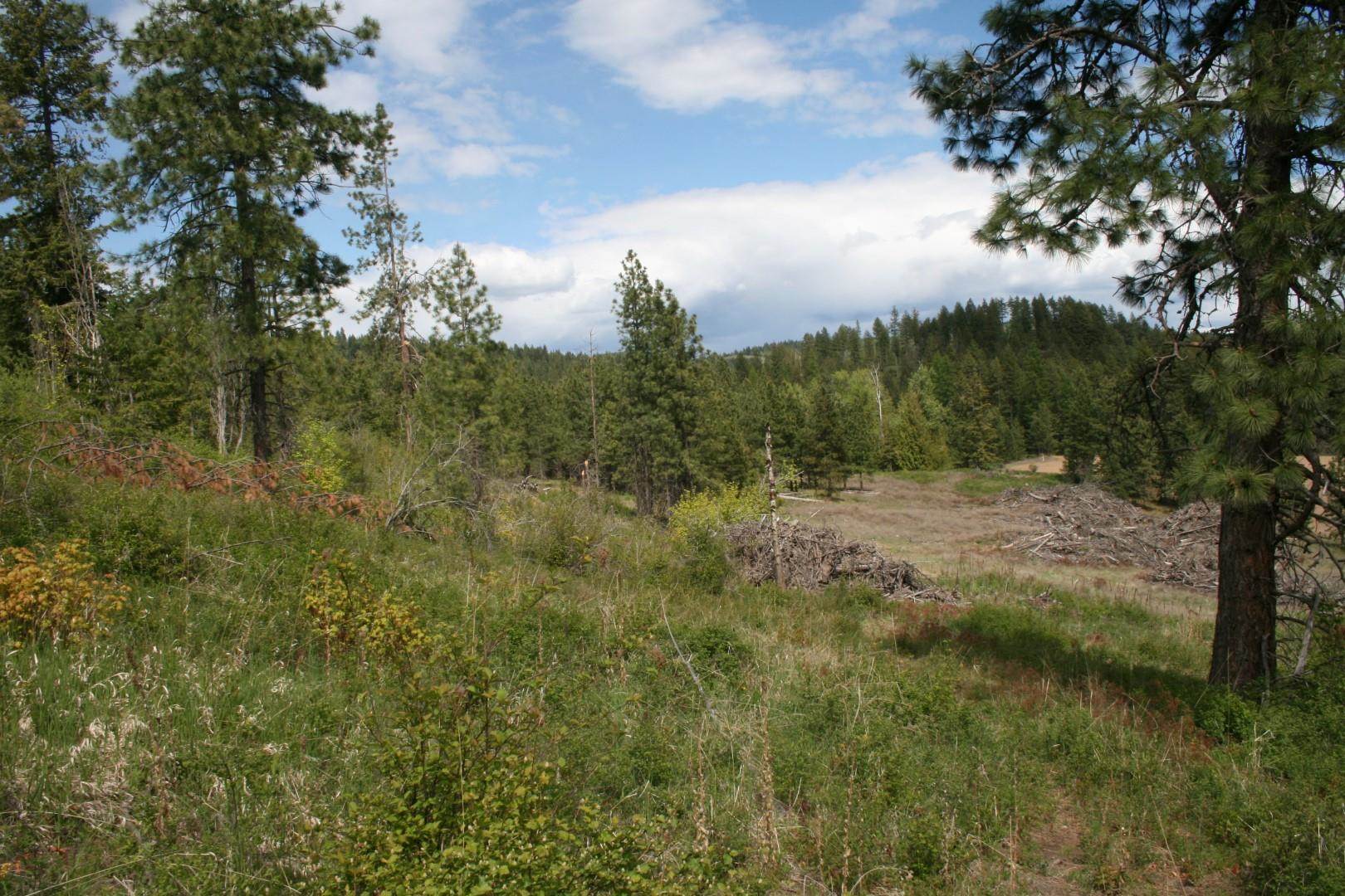 Xx Kirkpatrick Road Elk, WA 99009 - Photo 8 of 29