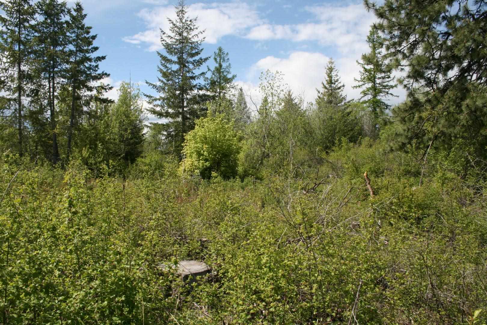 Xx Kirkpatrick Road Elk, WA 99009 - Photo 10 of 29