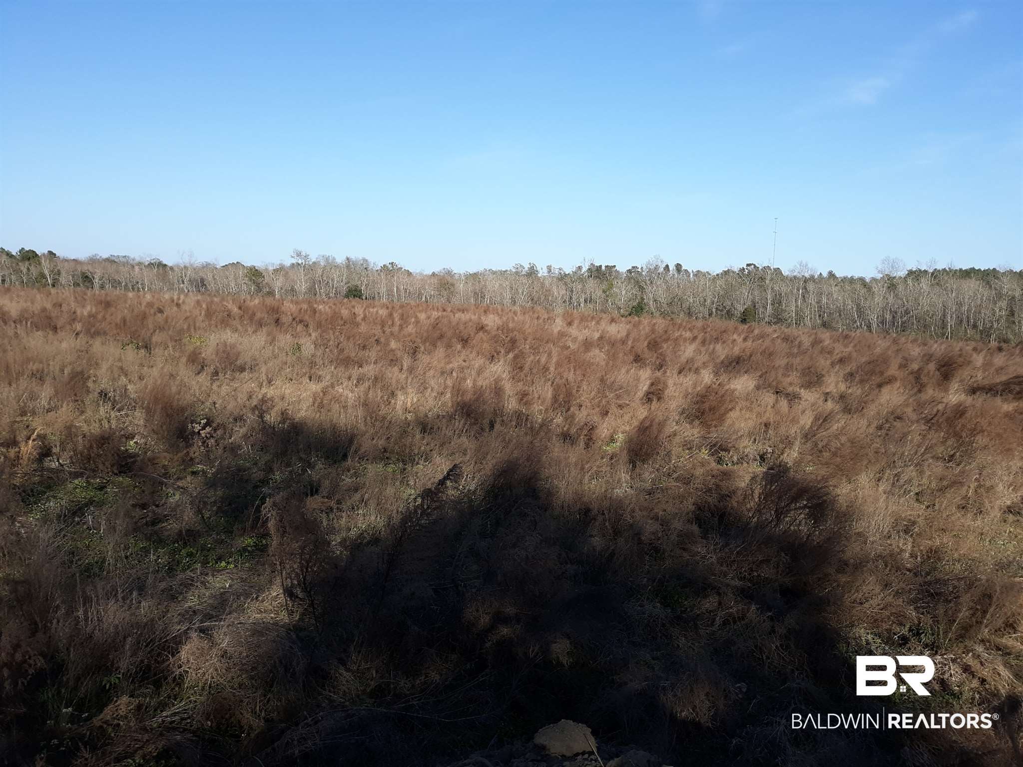 0 County Road 55 Loxley, AL 36551 - Photo 6 of 10