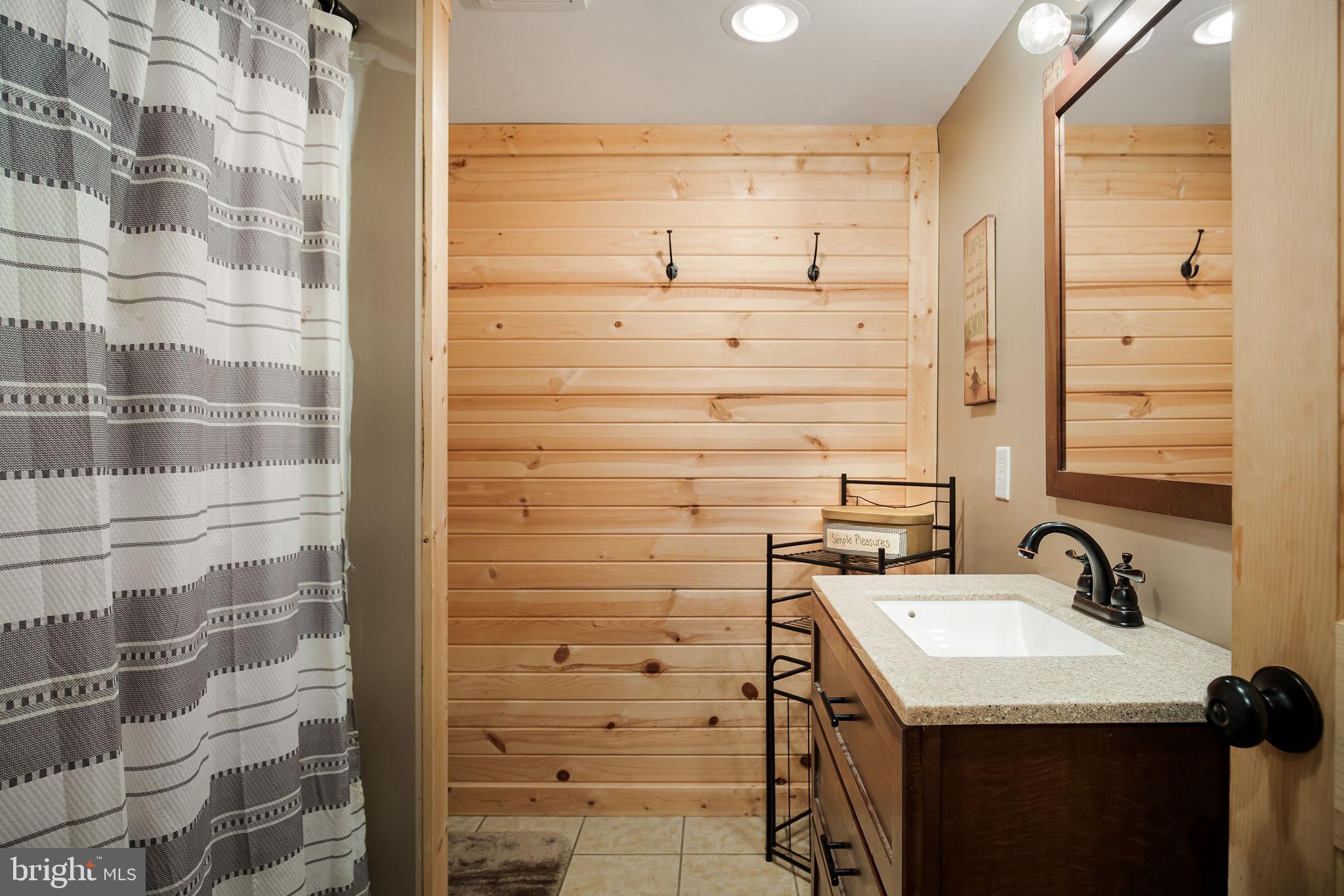 149 Fleming Road Mount Jackson, VA 22842 - Photo 25 of 44 Lower level bath