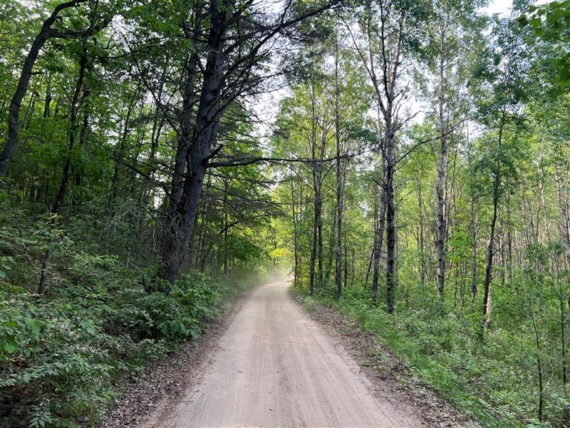 47 South 47 3/4 Road Cadillac, MI 49601 - Photo 25 of 59