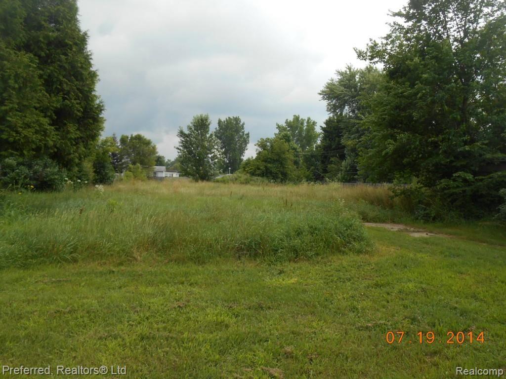 51301 Mott Road Belleville, MI 48111 - Photo 5 of 20 7-19-14 Yard.jpg