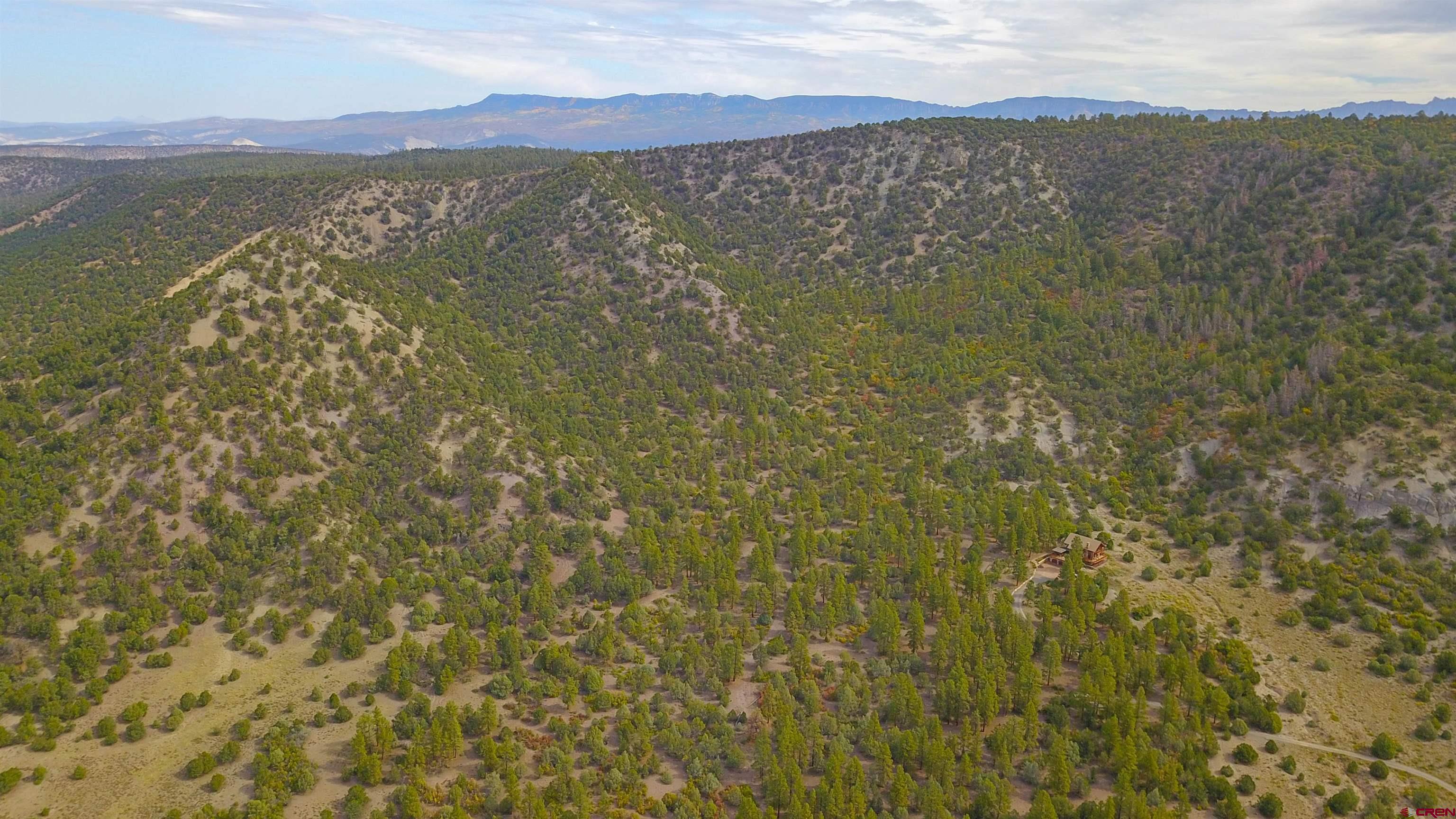 7a County Road 7A Ridgway, CO 81432 - Photo 13 of 16 a view of an mountain from a yard