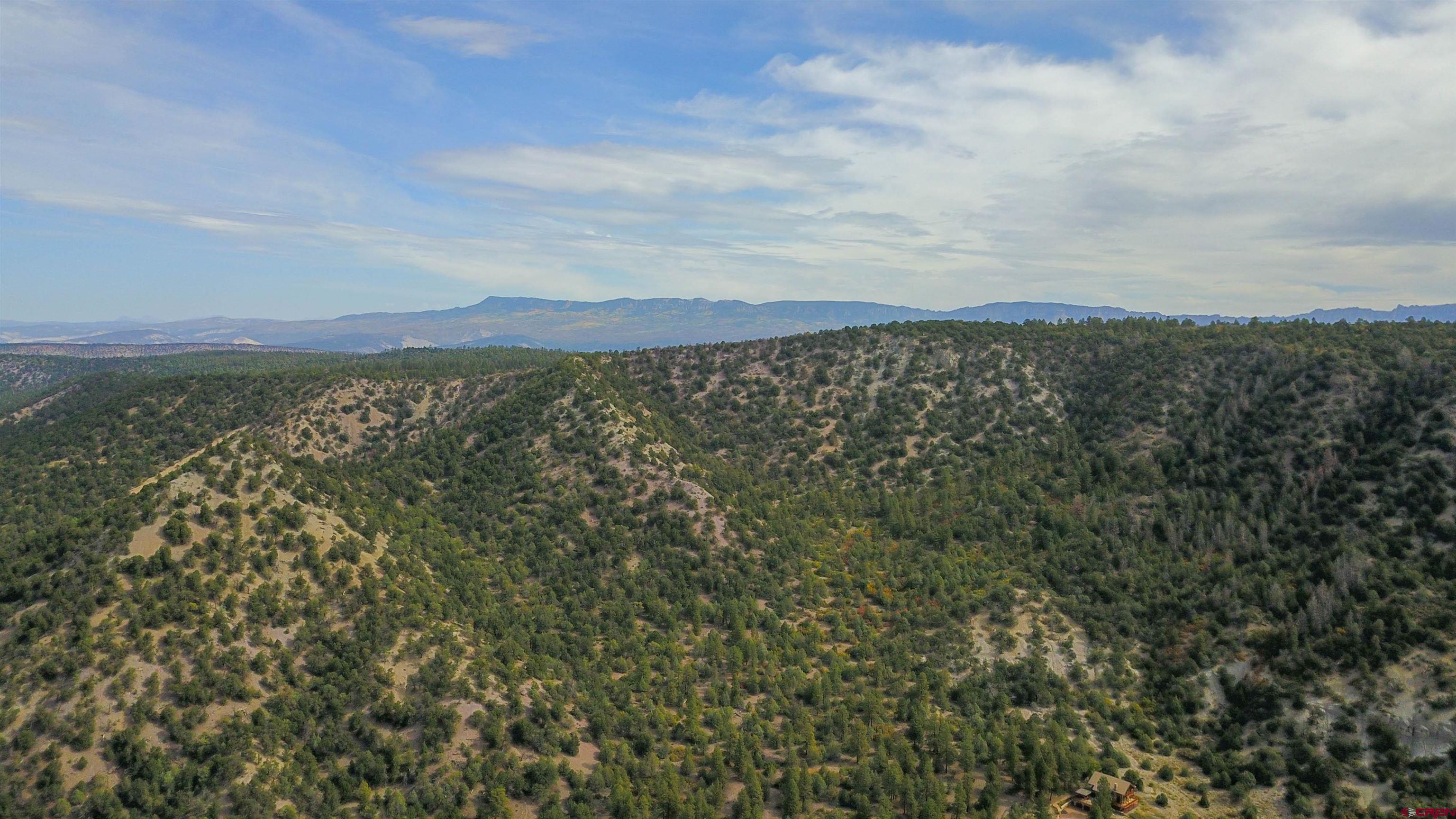 7a County Road 7A Ridgway, CO 81432 - Photo 15 of 16 a view of a lake with a city