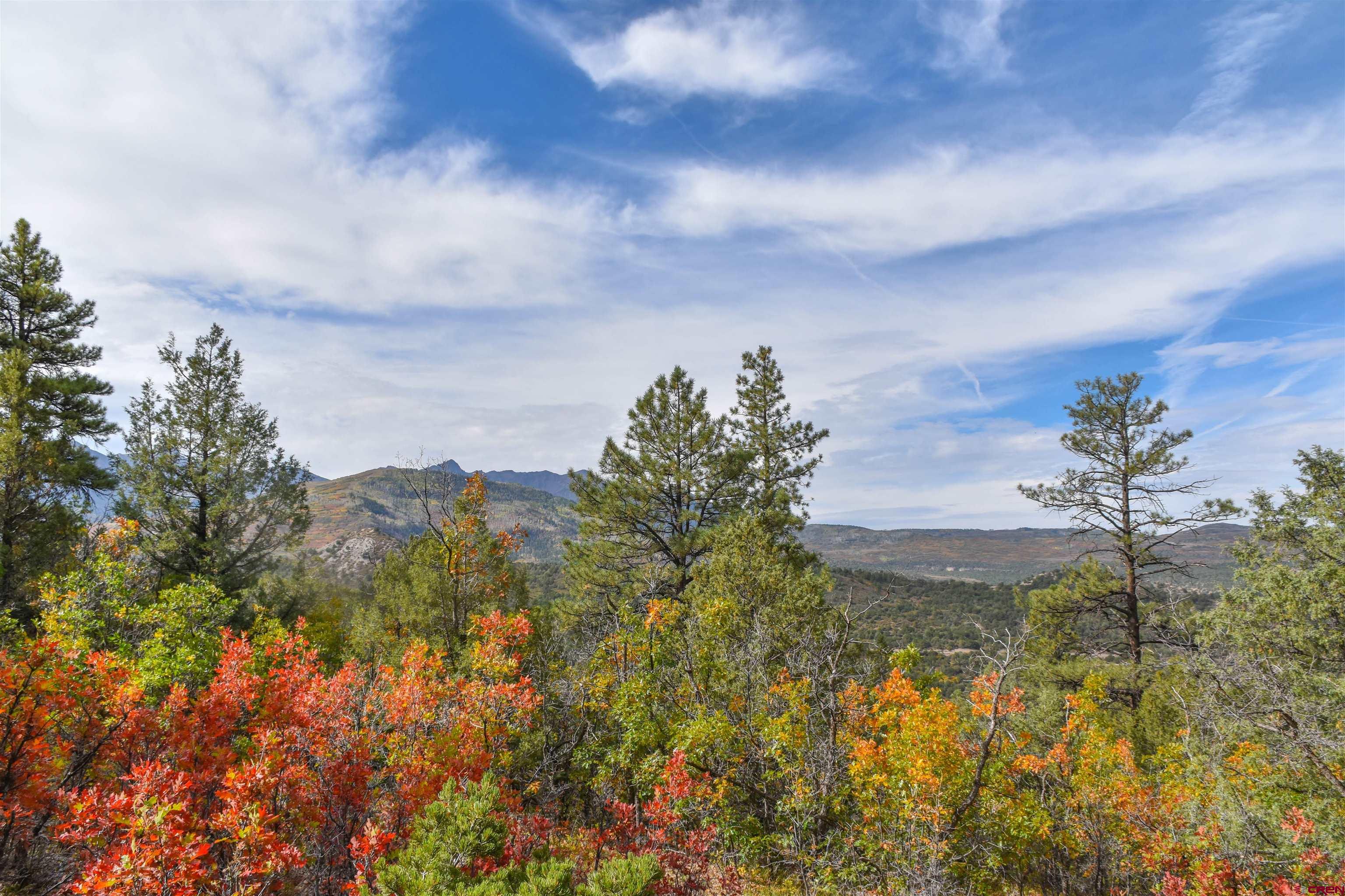 7a County Road 7A Ridgway, CO 81432 - Photo 5 of 16 a view of a lake