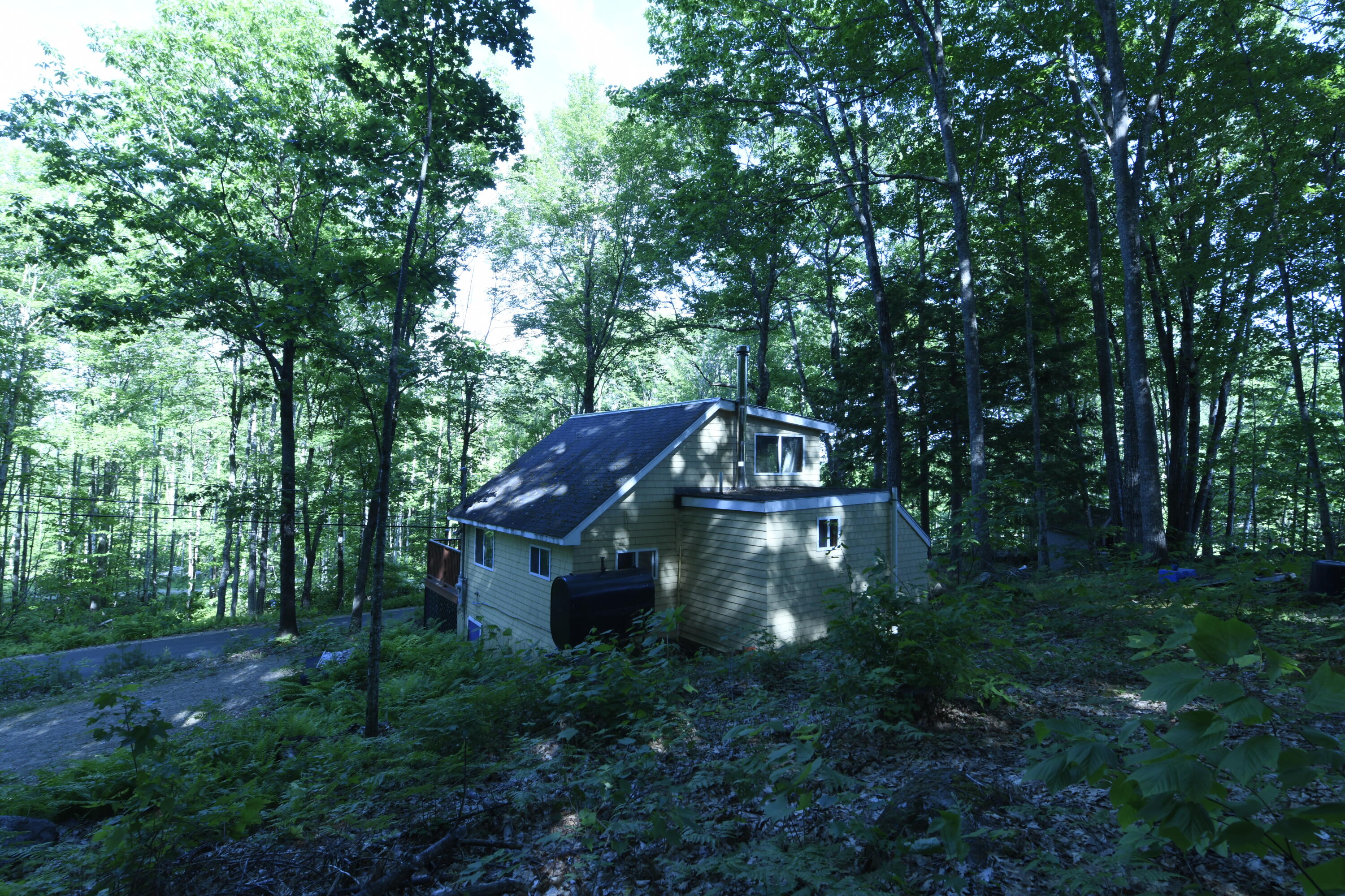 220 Lost Mile Road Newfield, ME 04095 - Photo 11 of 19 _DSC3228