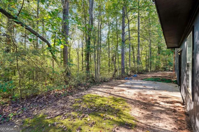 a view of backyard with green space