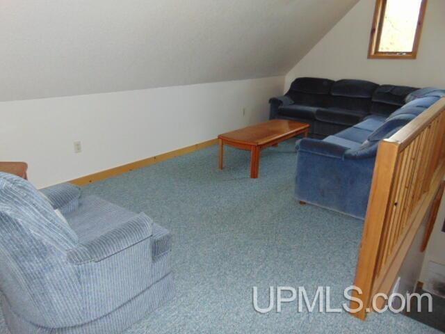 15195 County Road 505 Road Newberry, MI 49868 - Photo 12 of 13