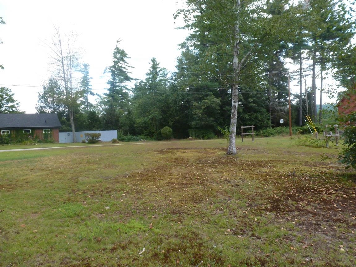 Shop Rd Hill, Unit TRACT 1 Hill, NH 03243 - Photo 4 of 14